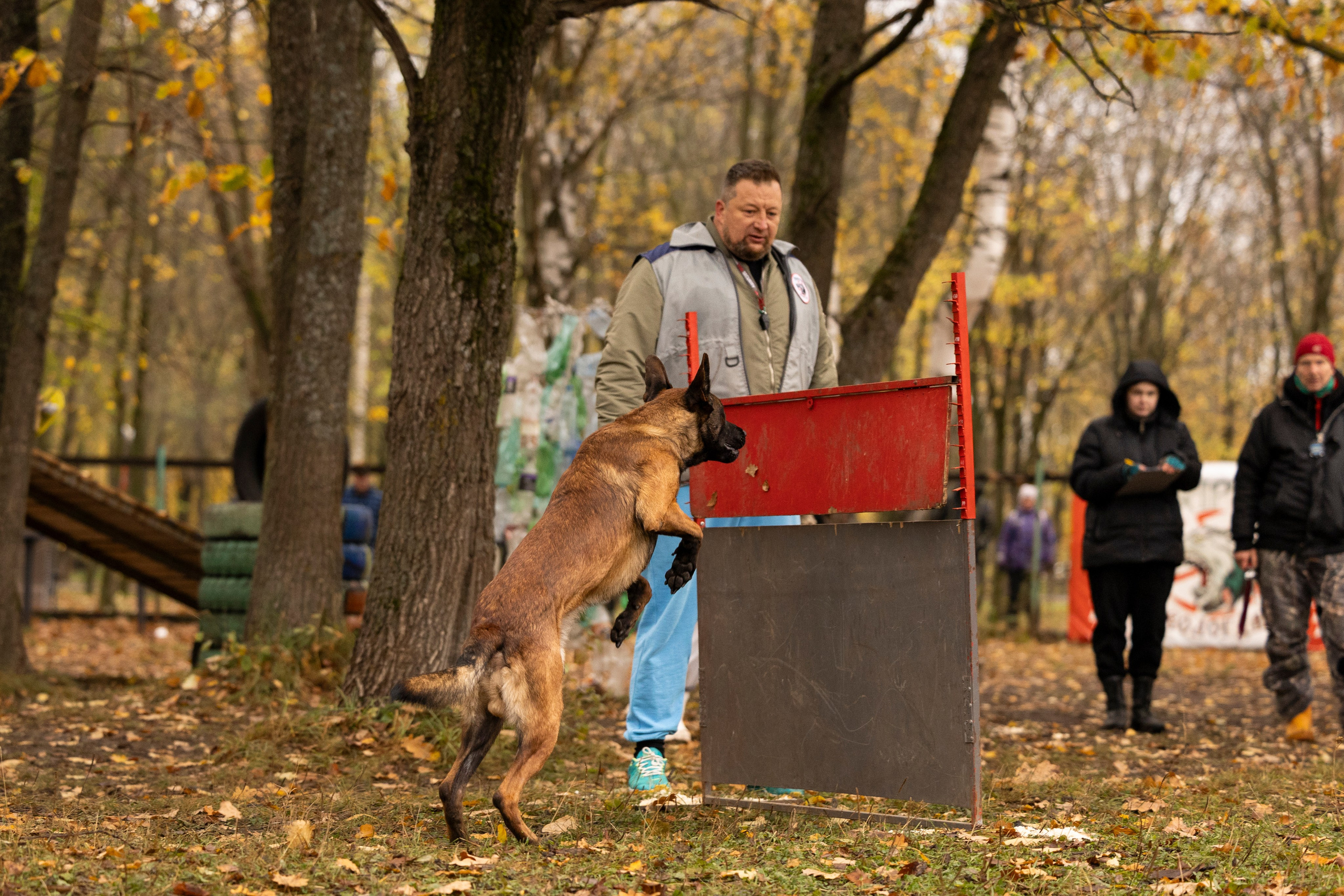 Соревнования по Мондьорингу г. Вологда. Фотограф-анималист Анна Маринич