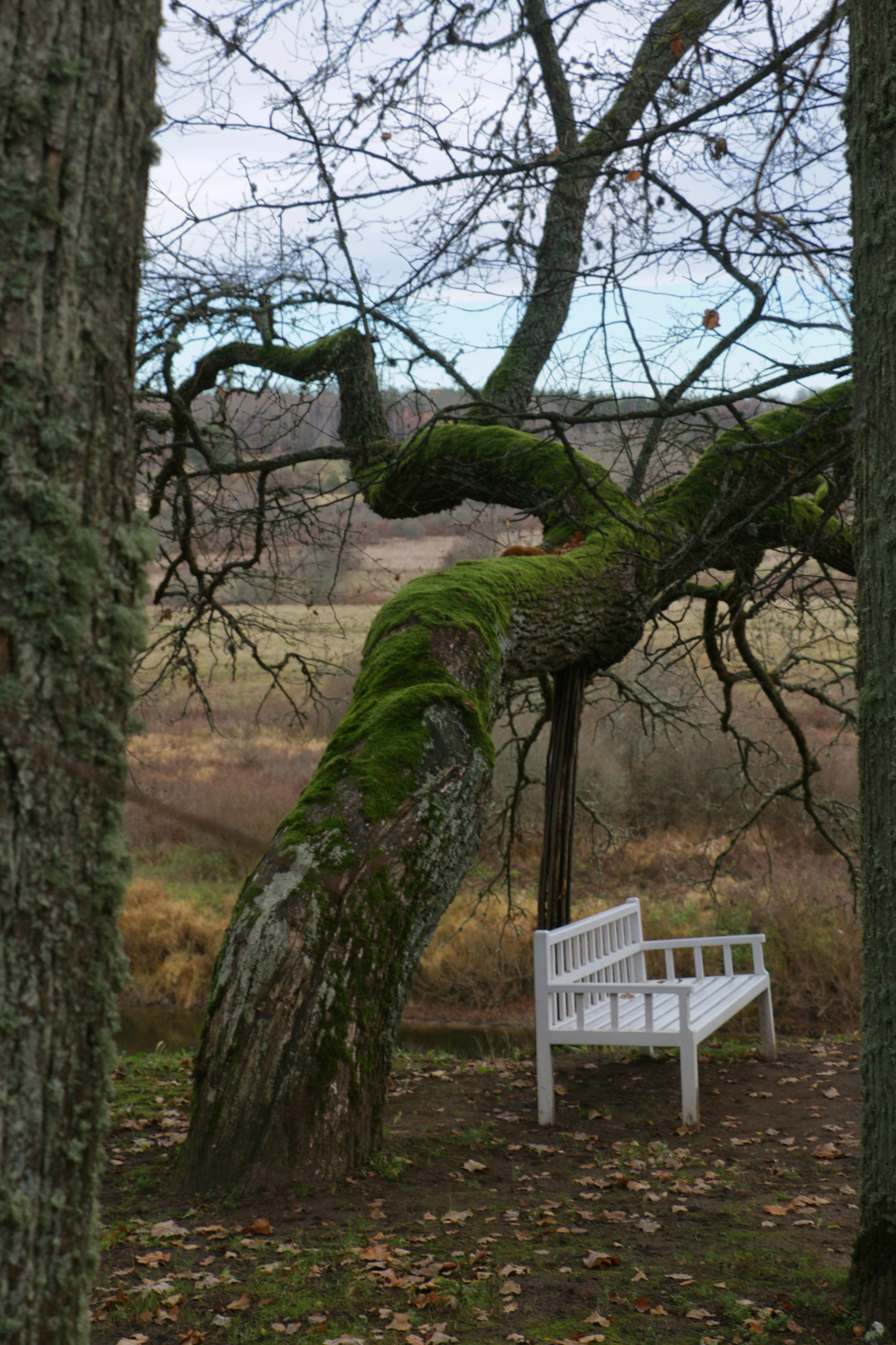 Пейзажи. Фотограф из Санкт-Петербурга — Виктория Горелкова
