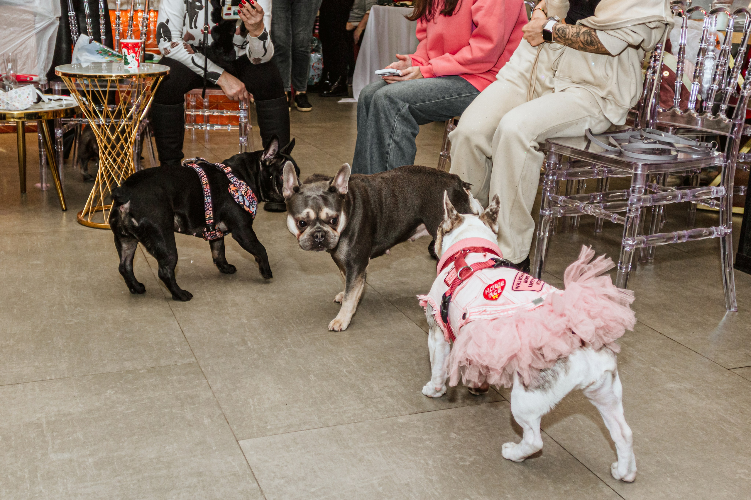 Бульёлка 2024. Фотограф-анималист Татьяна Степанова