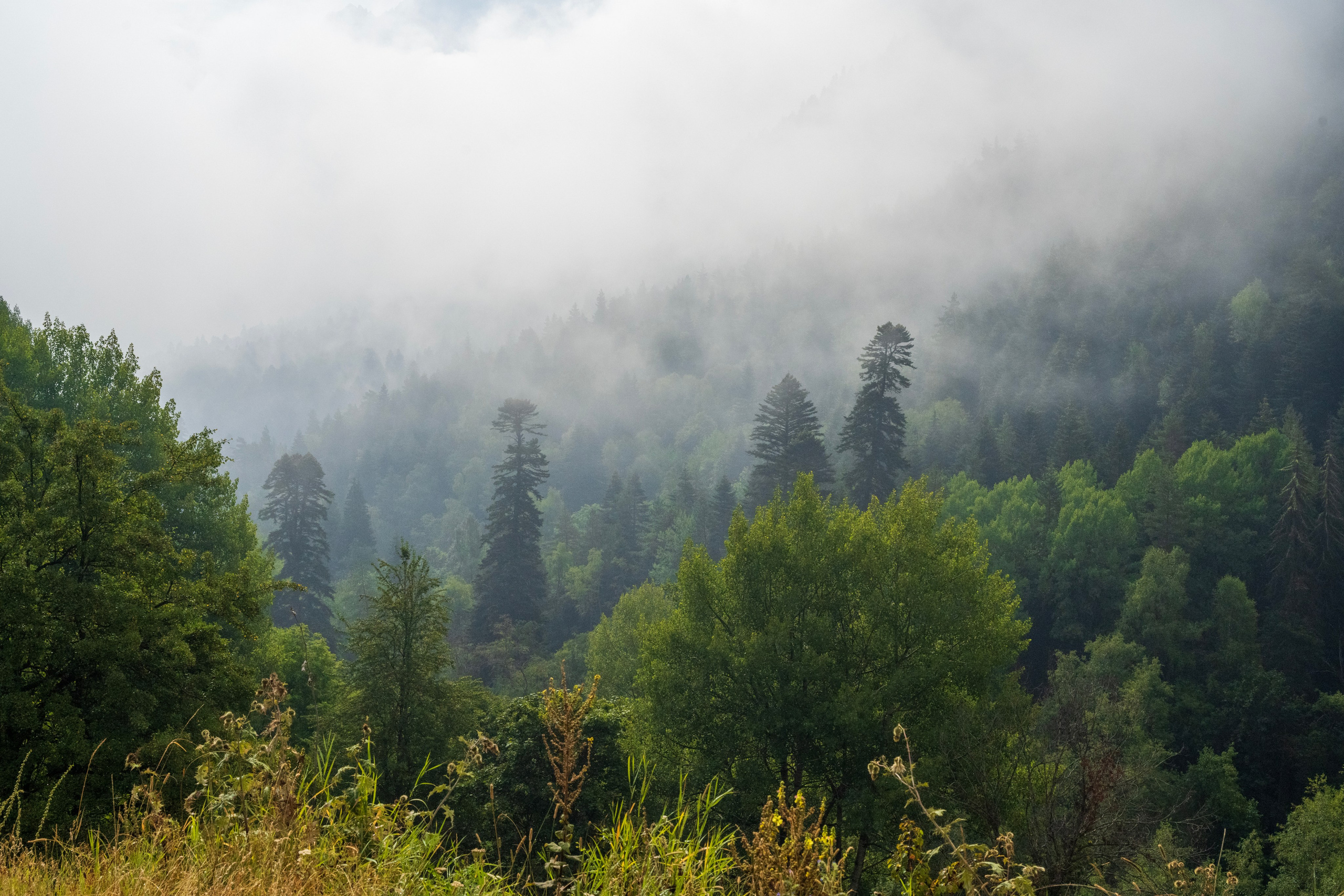 Экспедиция 2024