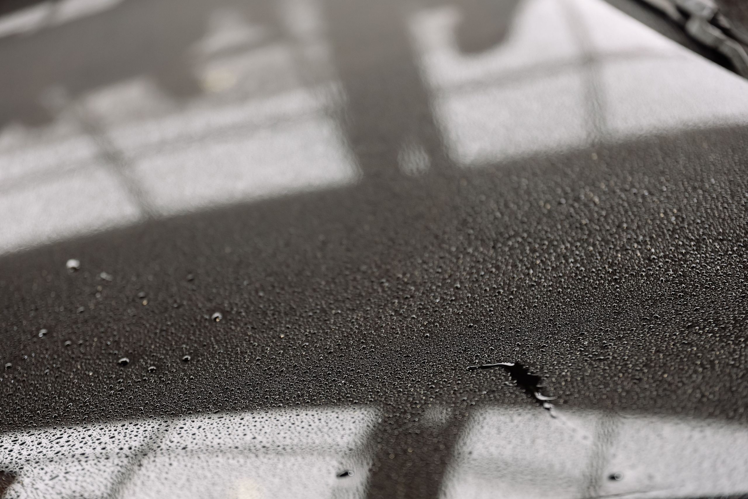 Семинар от VEGA. Фотограф Юлия Мальцева