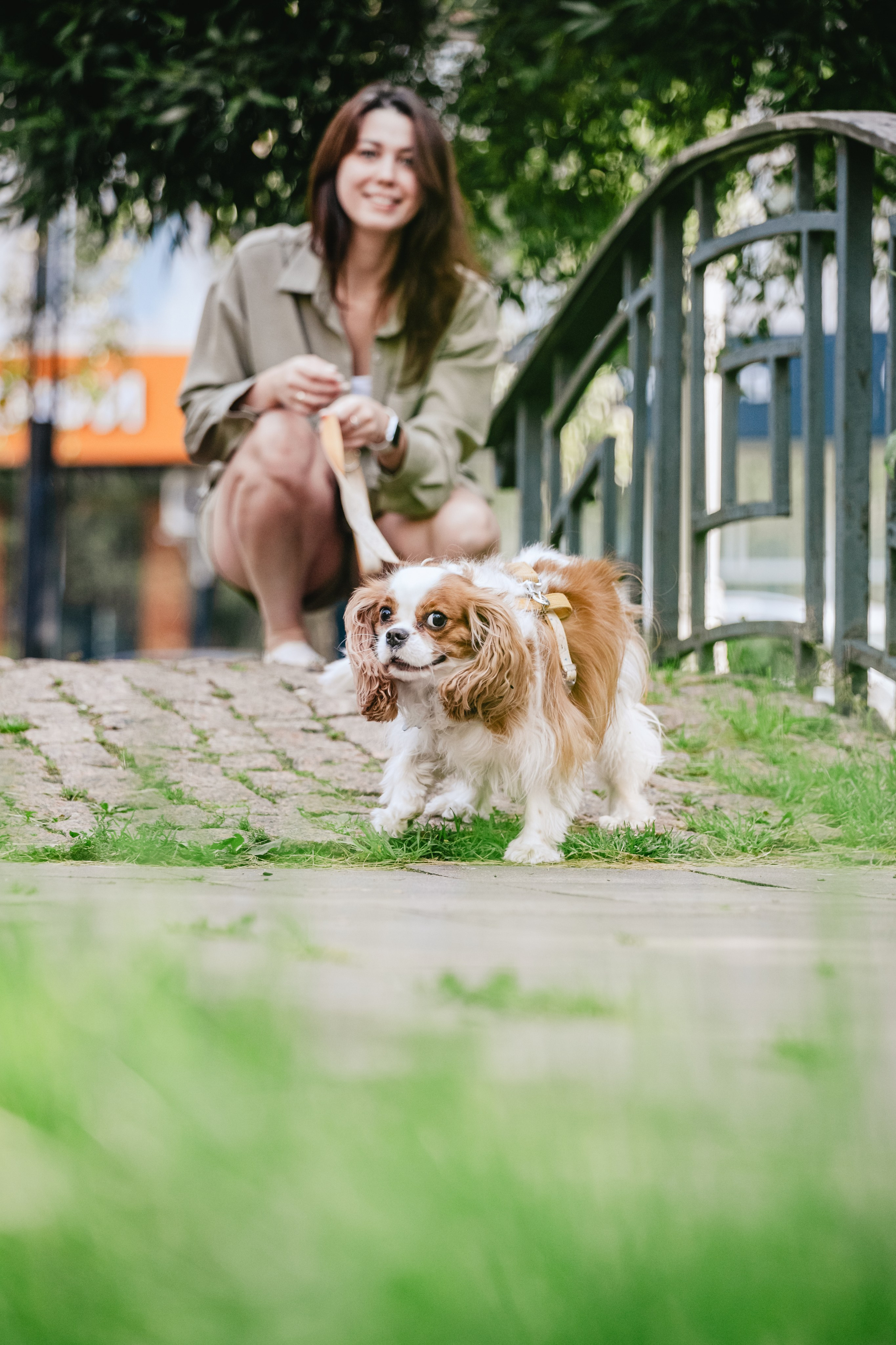 Фотопрогулка на бульваре. Фотограф-анималист Татьяна Степанова
