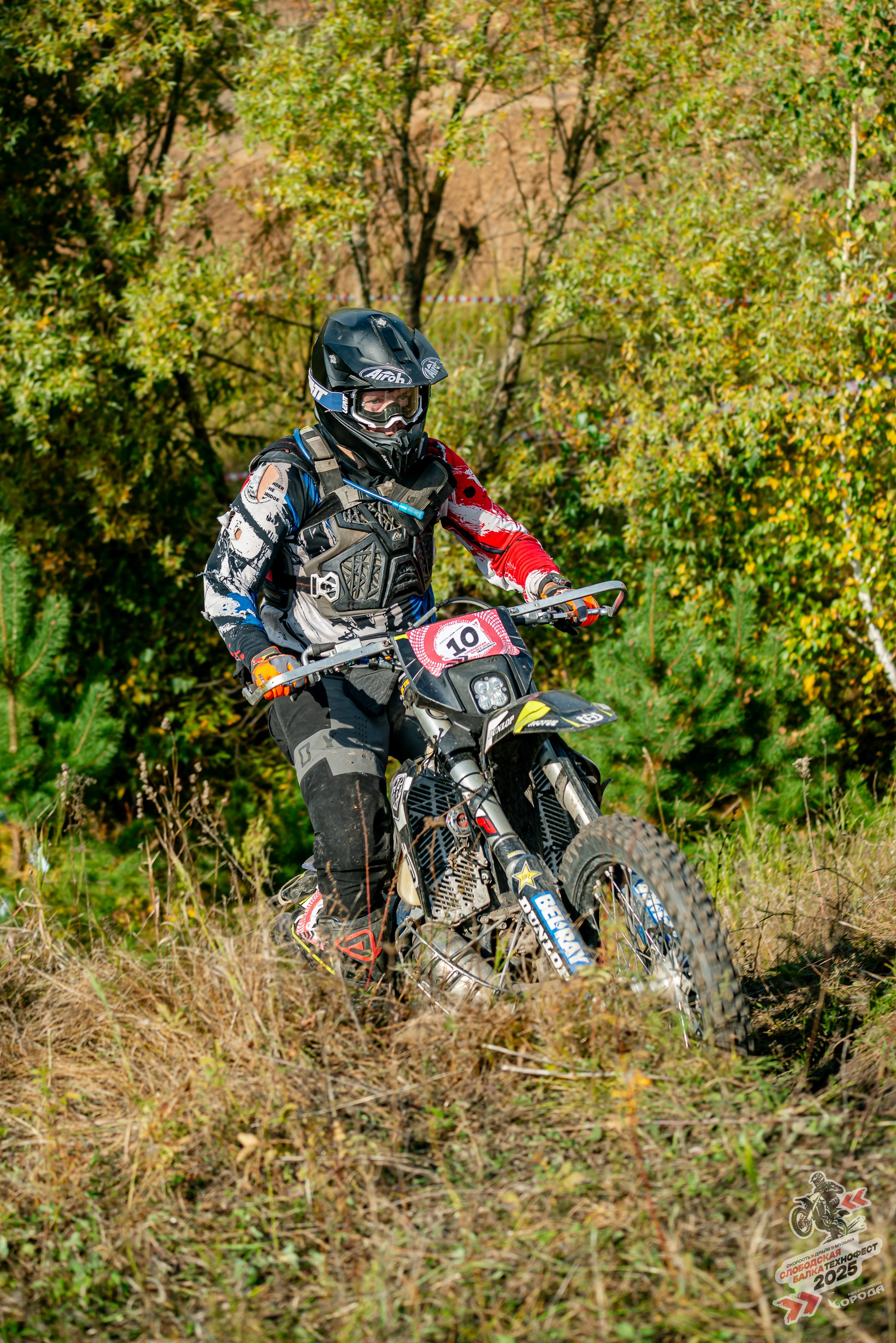 Слободская балка 2025. Фотограф | Макс Борода