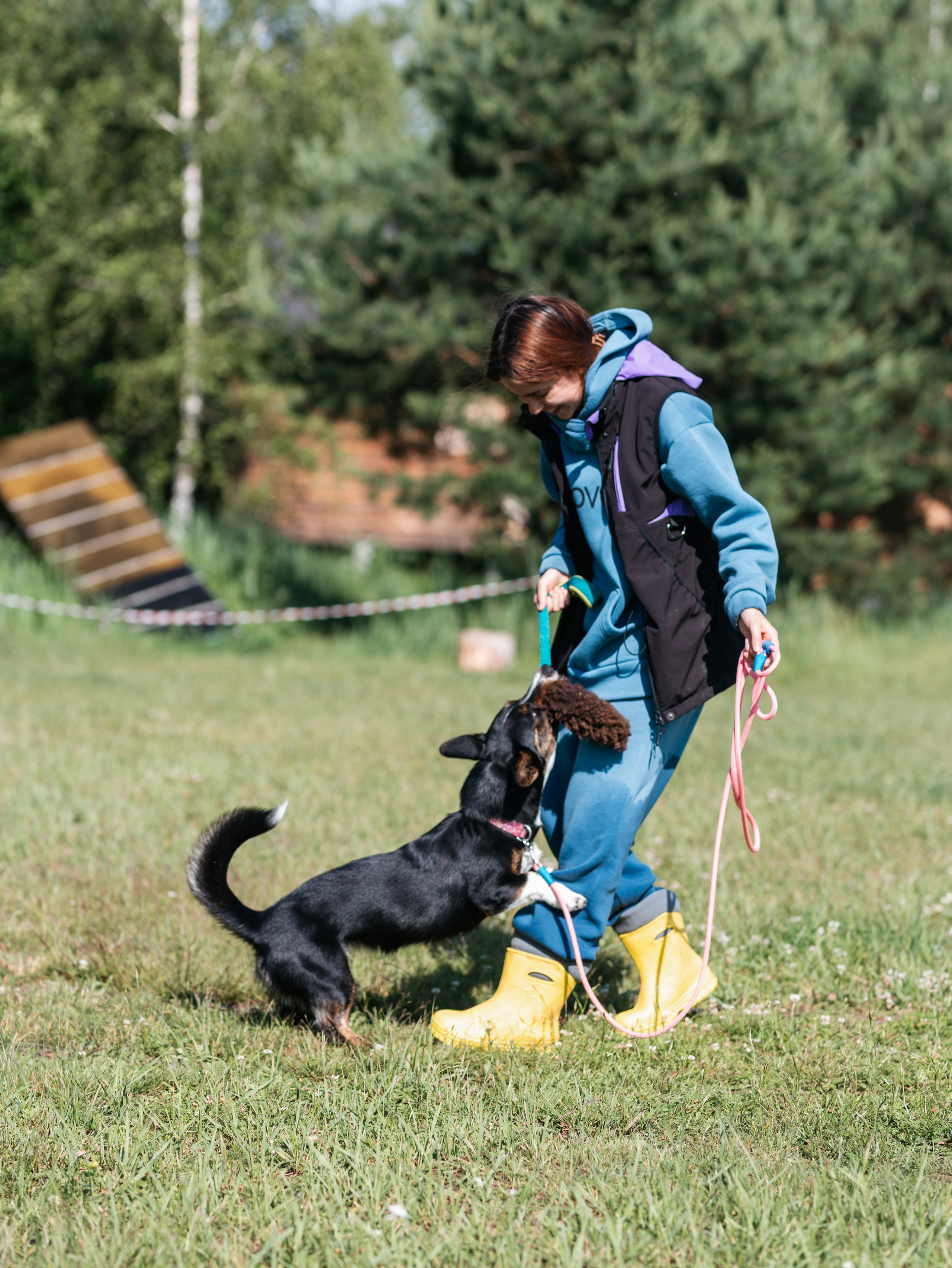 Лагерь ноузворк. Фотограф-анималист в Москве Кириллова Татьяна