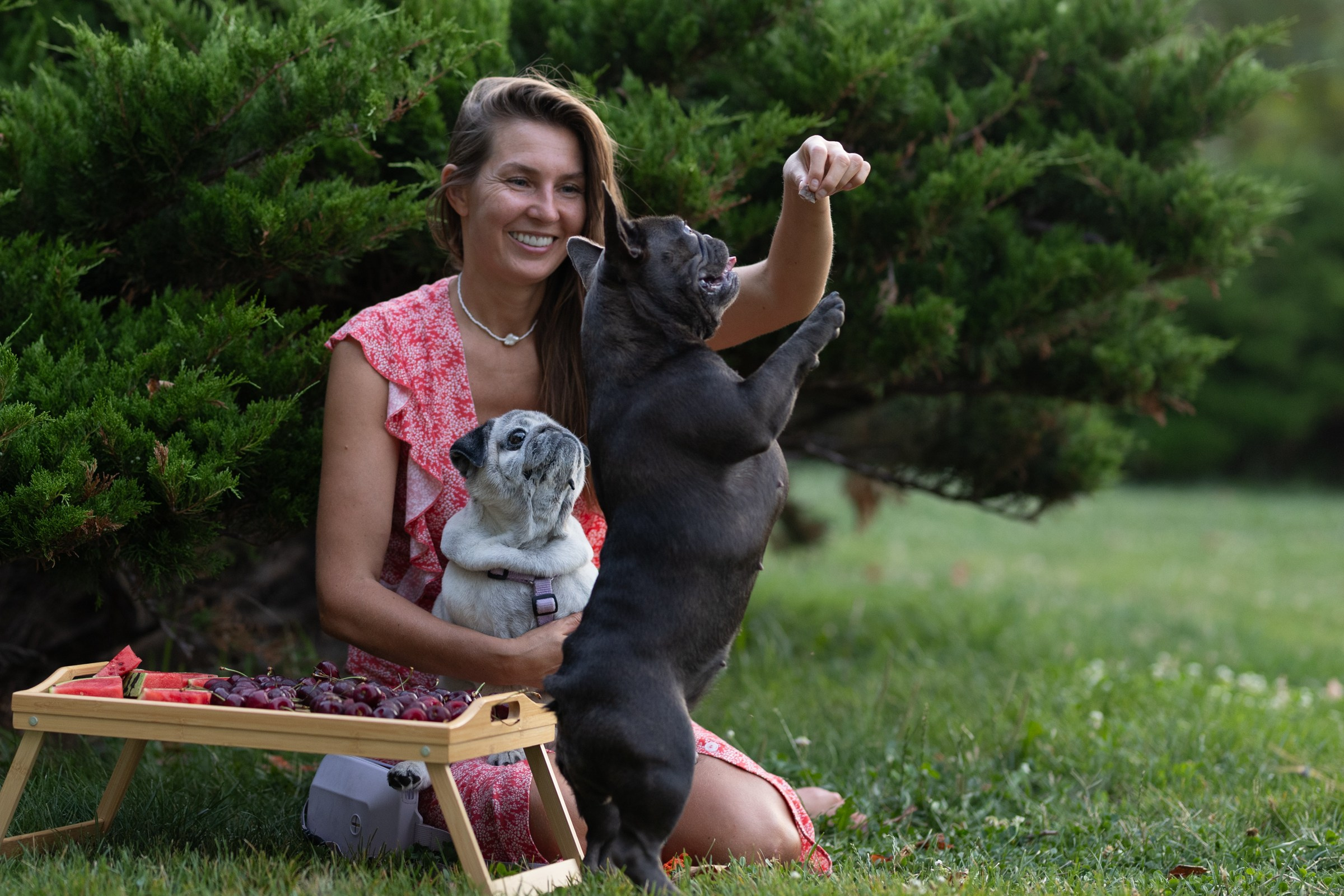 Сладкое лето. Фотограф-анималист в Москве Кириллова Татьяна