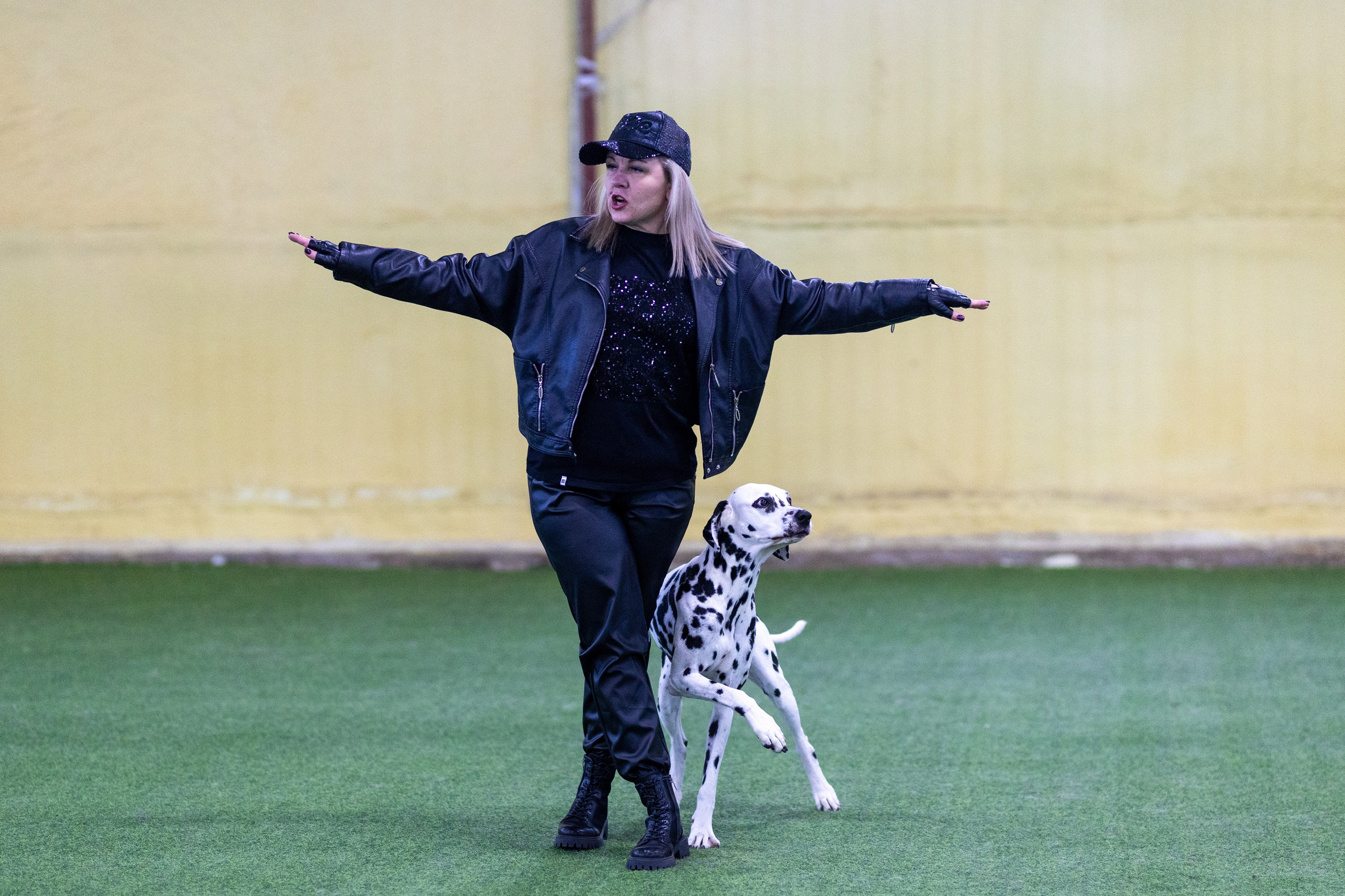 Соревнования танцы. Фотограф-анималист в Москве Кириллова Татьяна