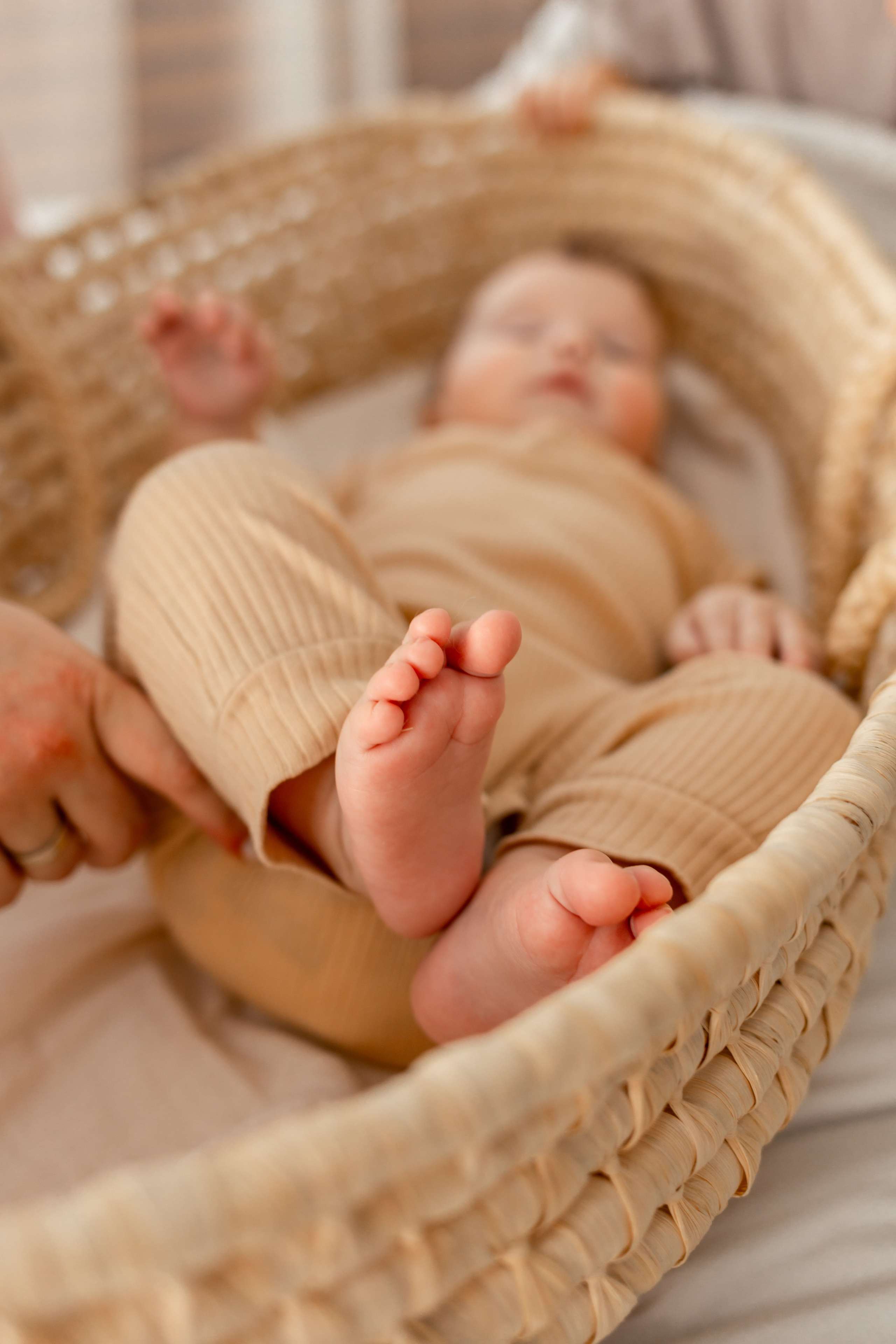 Domik зал Baby. Фотограф на первый годик, семейный и детский фотограф в Новосибирске