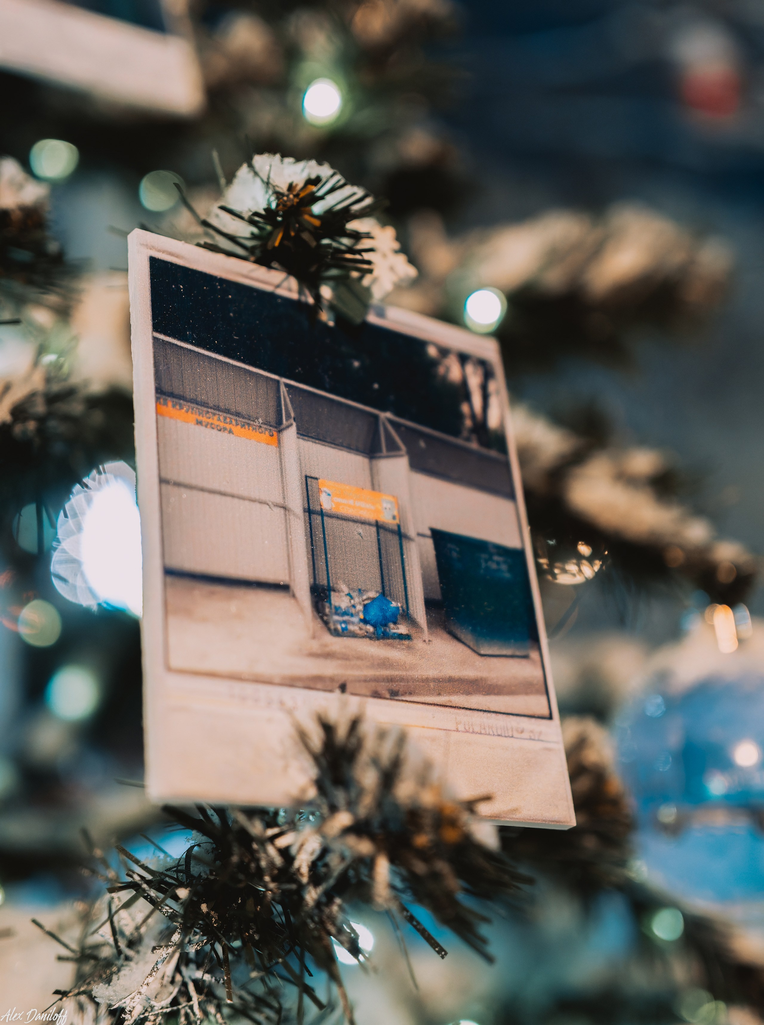 Елки 2025. Муром-Инфо. Новости культуры, образования, спорта в городе Муром