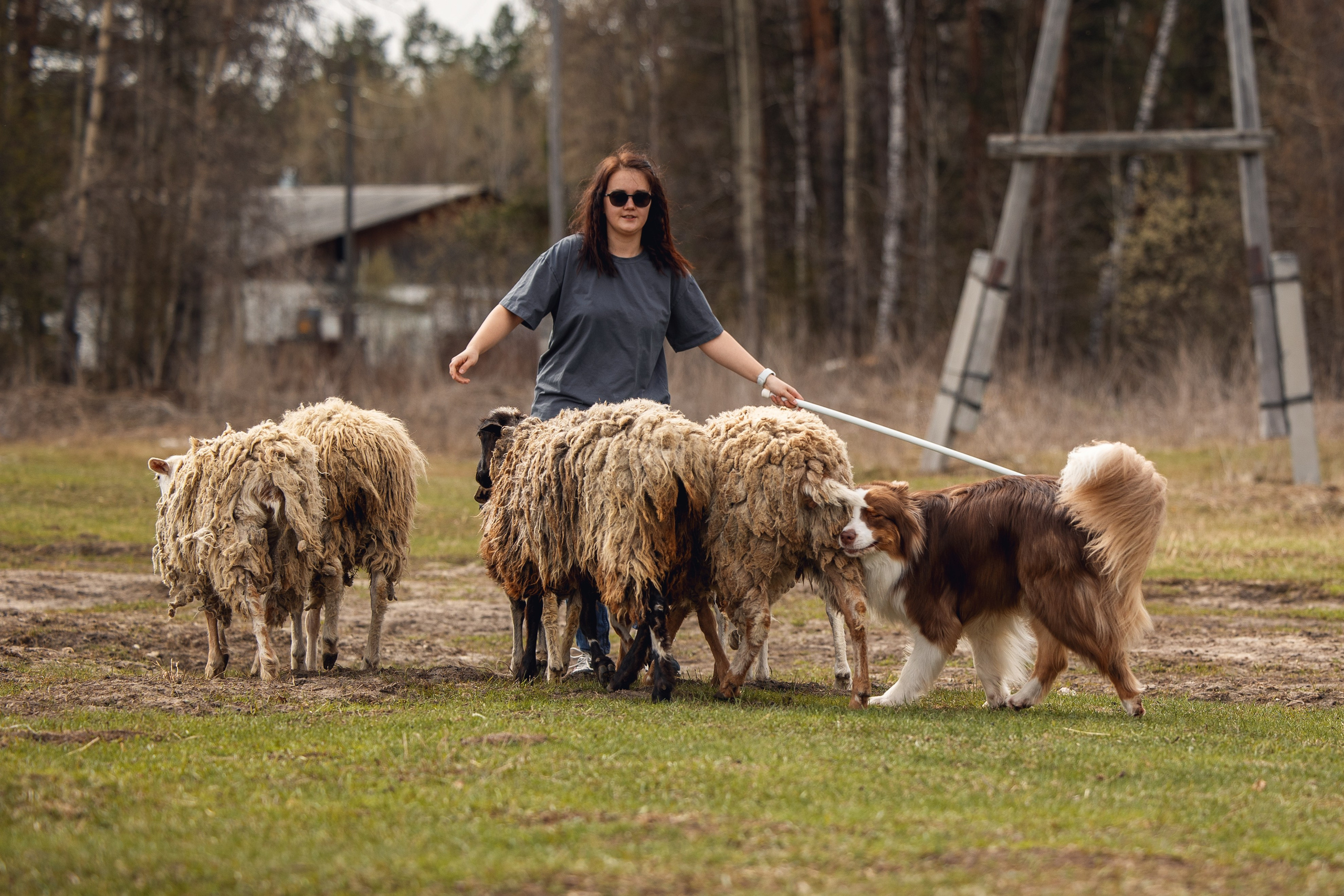 Анна и Вуди. YULA KOLESOVA | Фотограф — Анималист | Художник | Тюмень