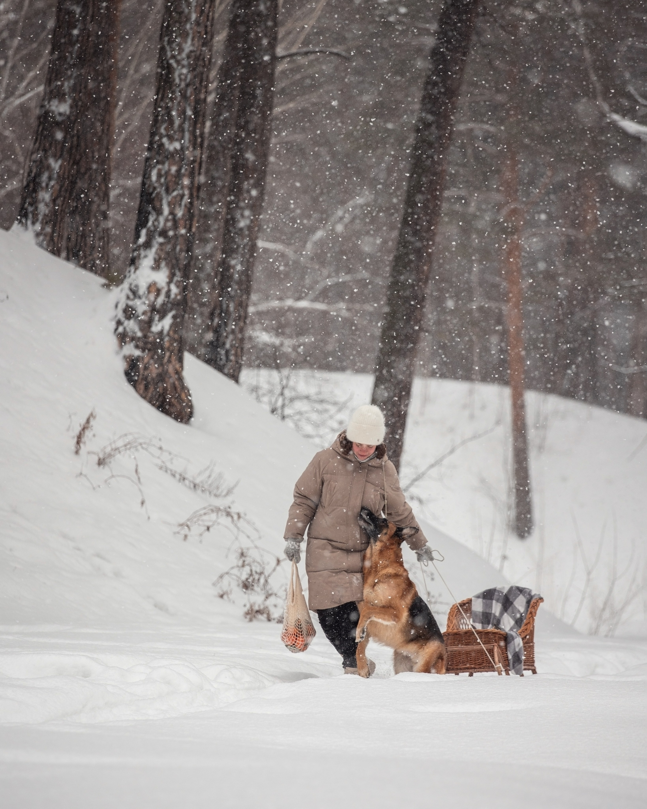 Полина и Фора. YULA KOLESOVA | Фотограф — Анималист | Художник | Тюмень