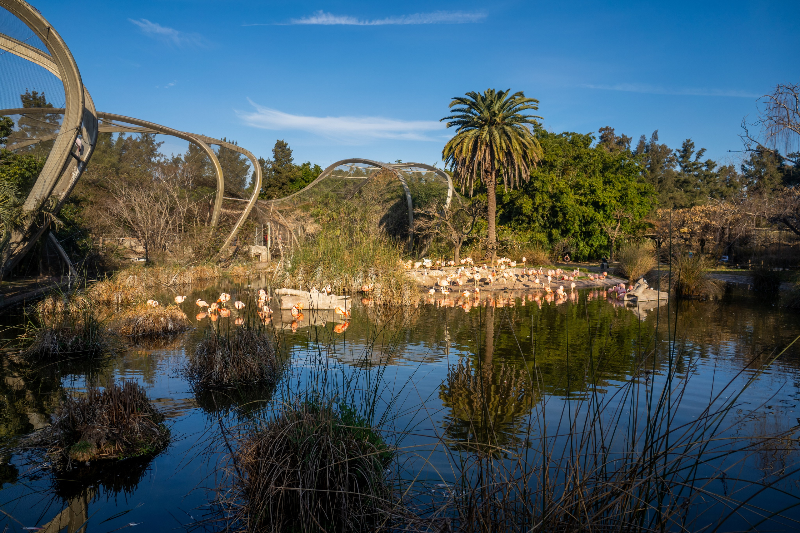 Landscape. Life in Focus