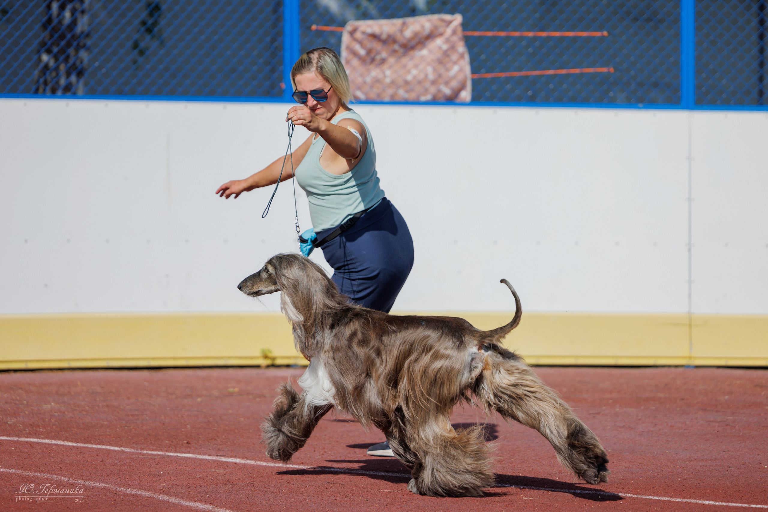Коломна 30.08.2025. Фотограф-анималист Юлия Германика