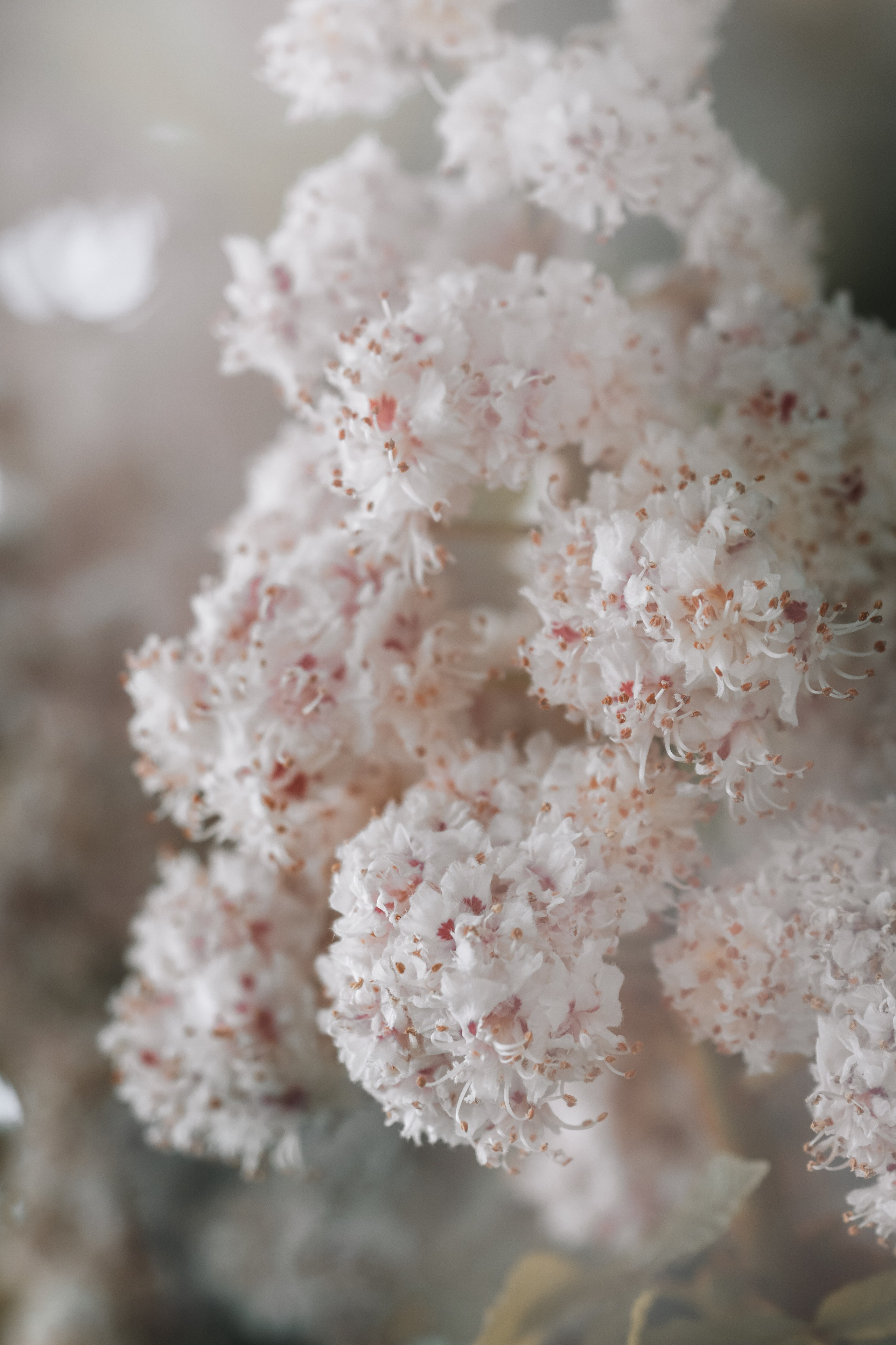 Macro. Фотограф на Юге России