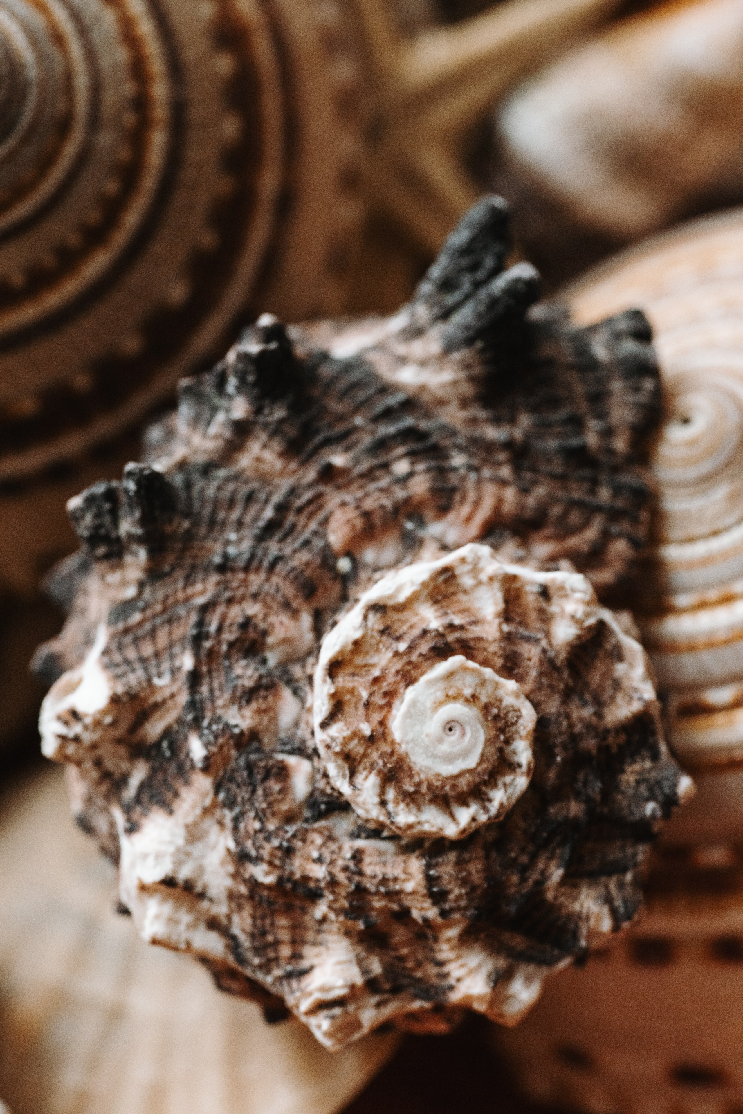 Animal Friendly. Фотограф на Юге России