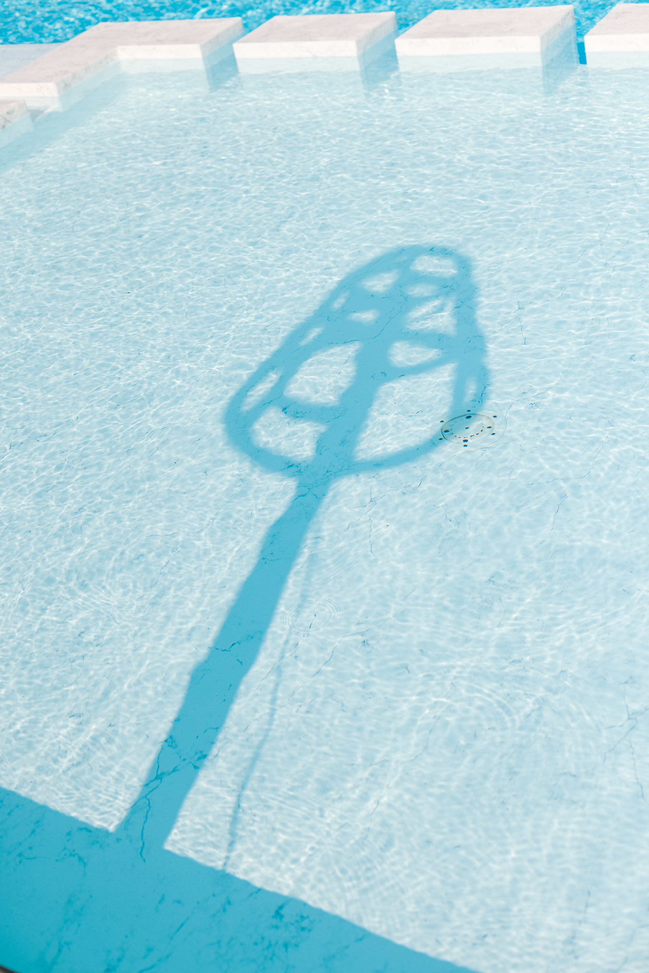 Kseniya Torgashina Designer. Фотограф на Юге России