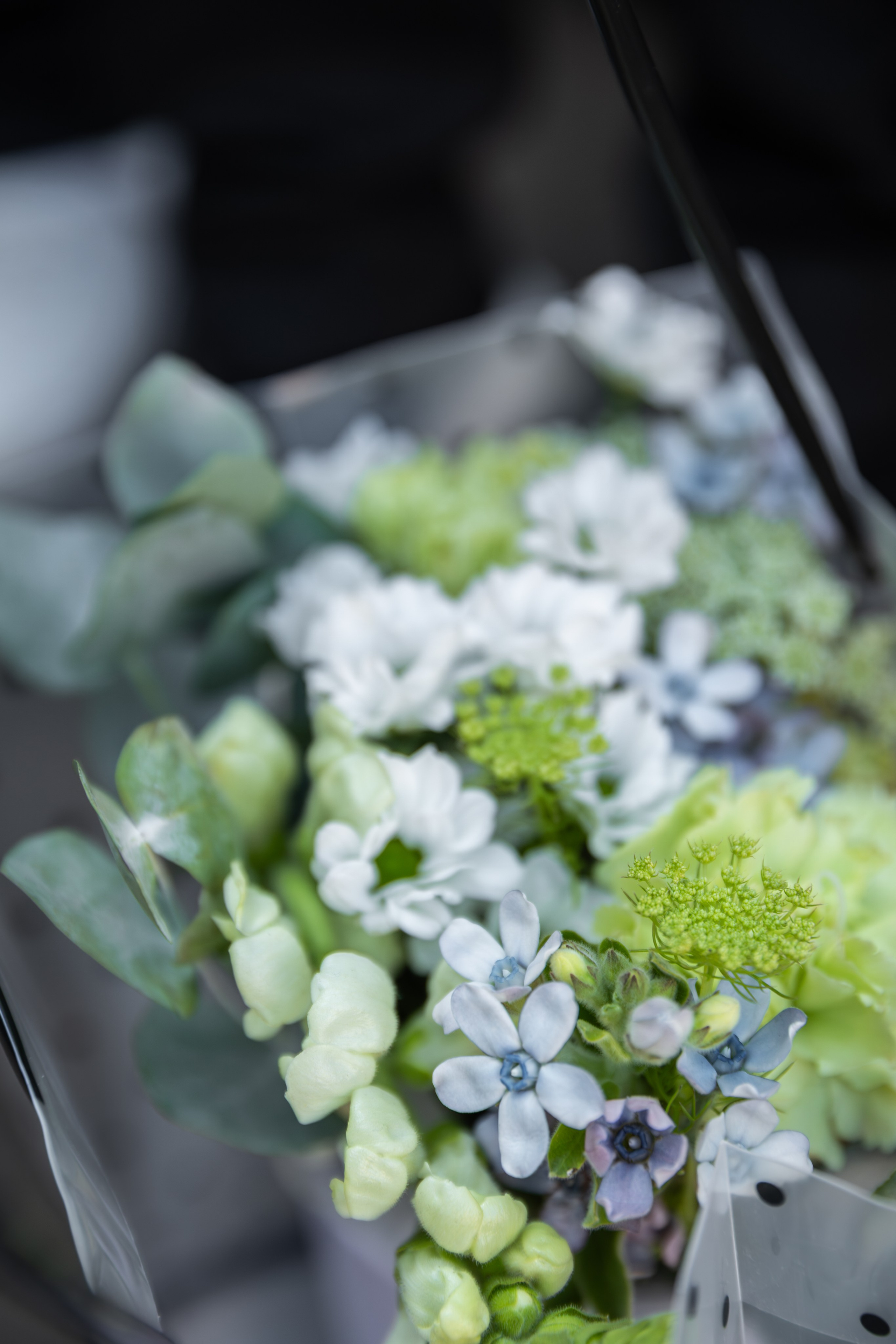 1 сентября. Екатерина Рыбина фотограф в Нижнем Новгороде