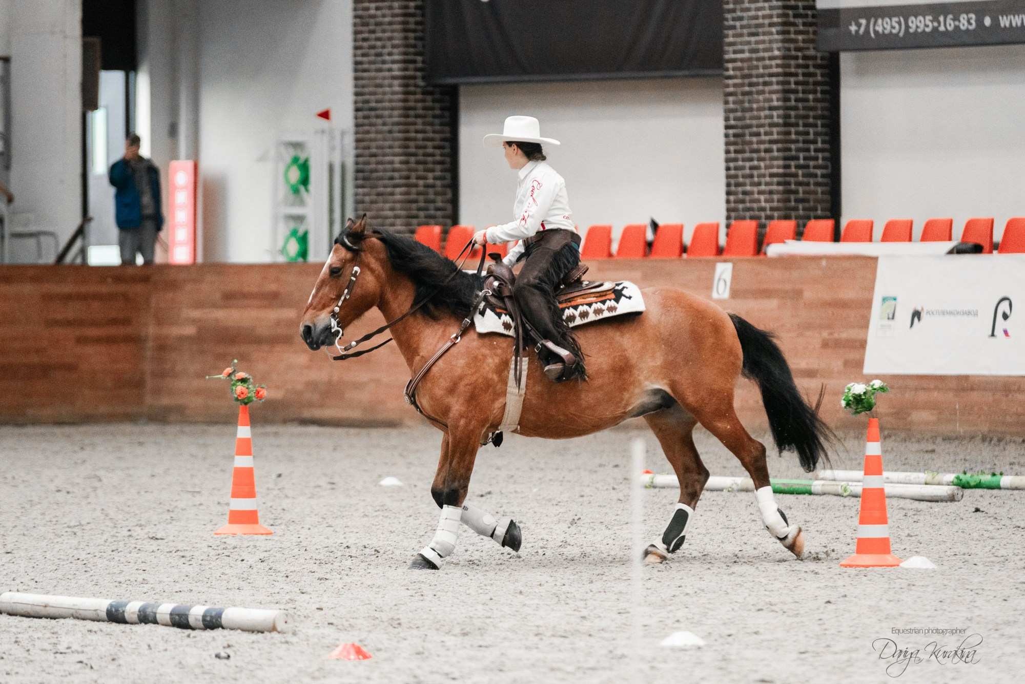 8-я международная выставка Конная Россия. Конный фотограф Куракина Дарья • Фотосессии с лошадьми