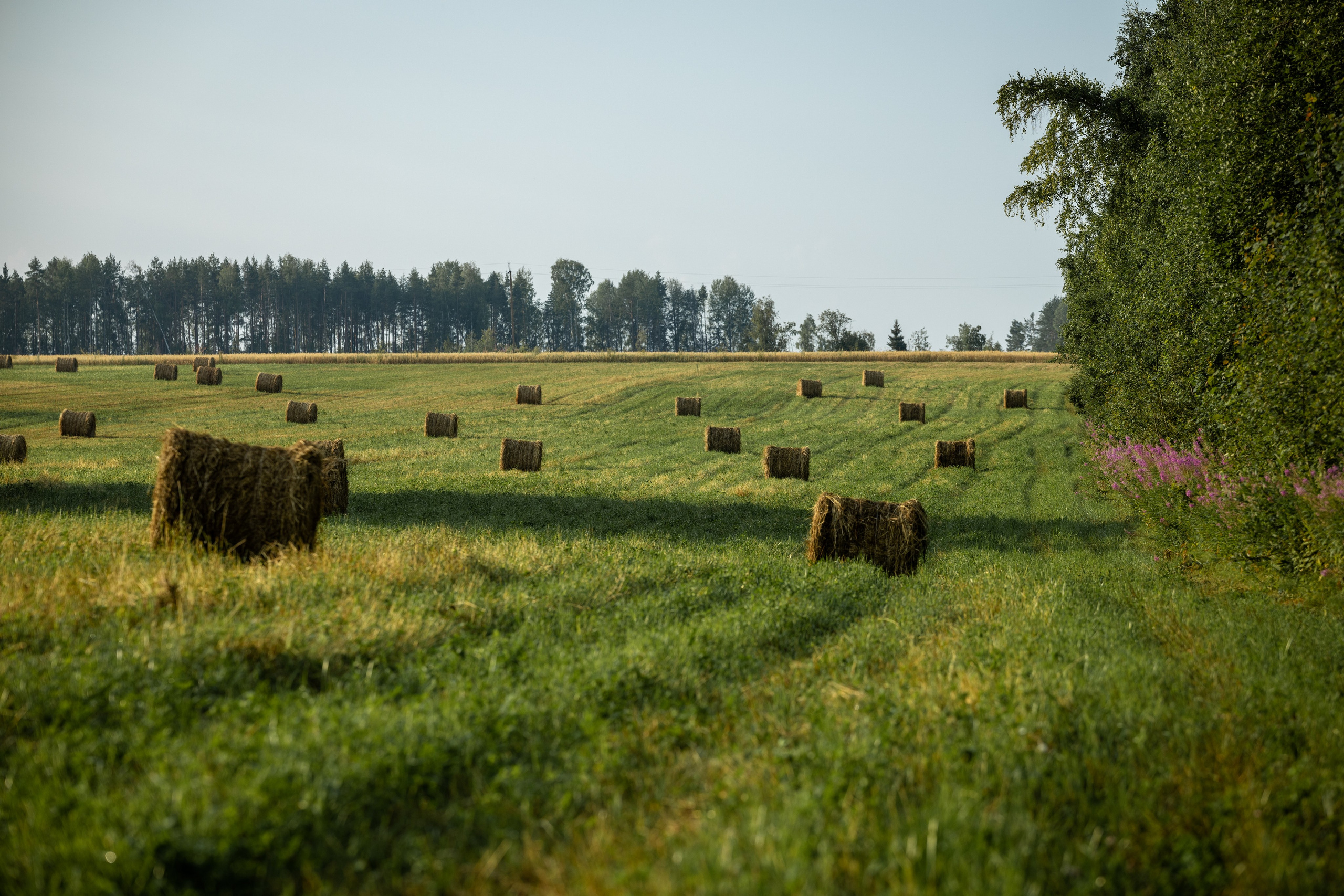 Природные пейзажи. Наталия Клевинскас портретный фотограф в Костроме