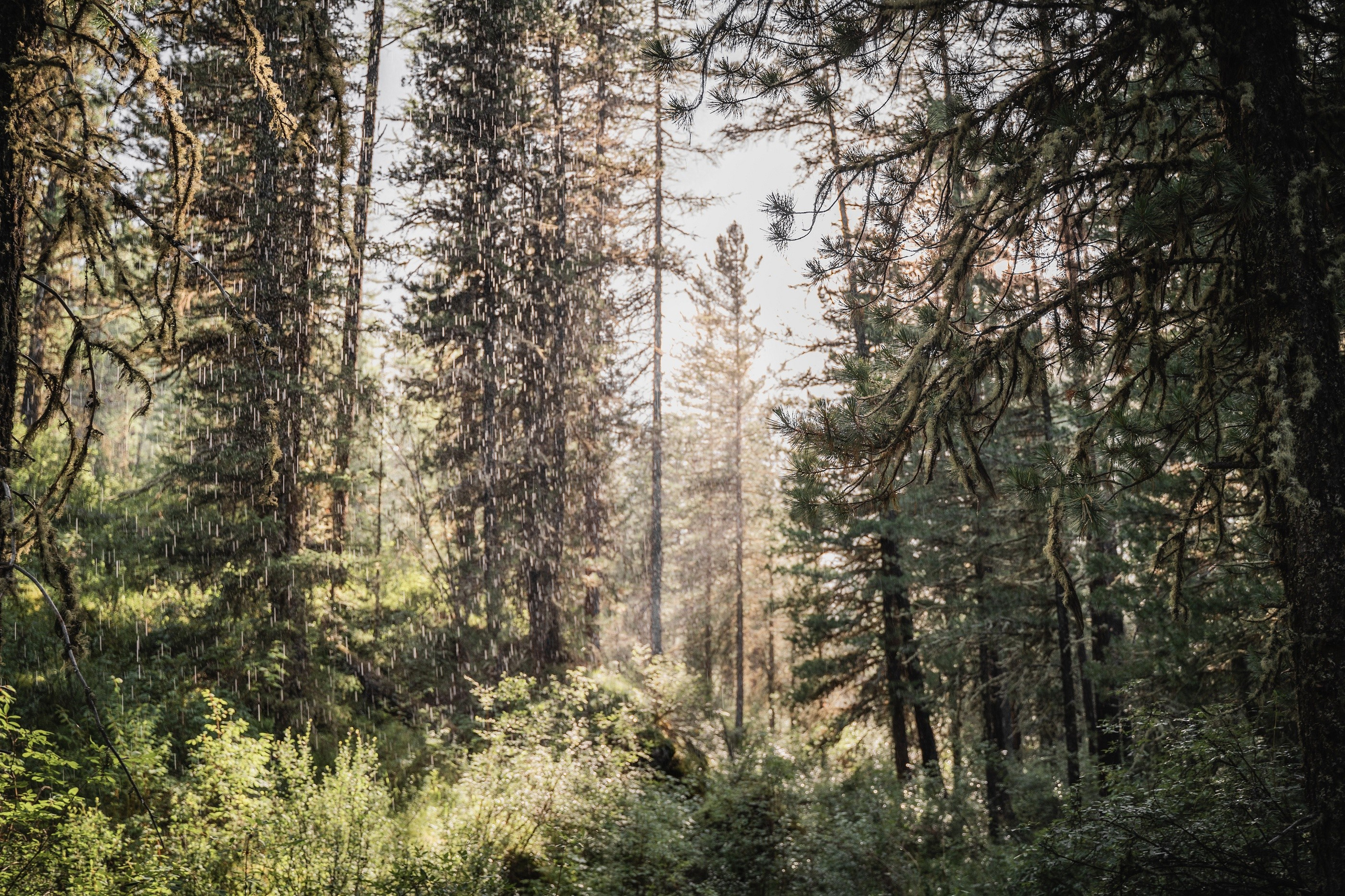 Алтай. Шавлинские озера. Фотограф в поход и восхождение на Эльбрус Игорь Косарев