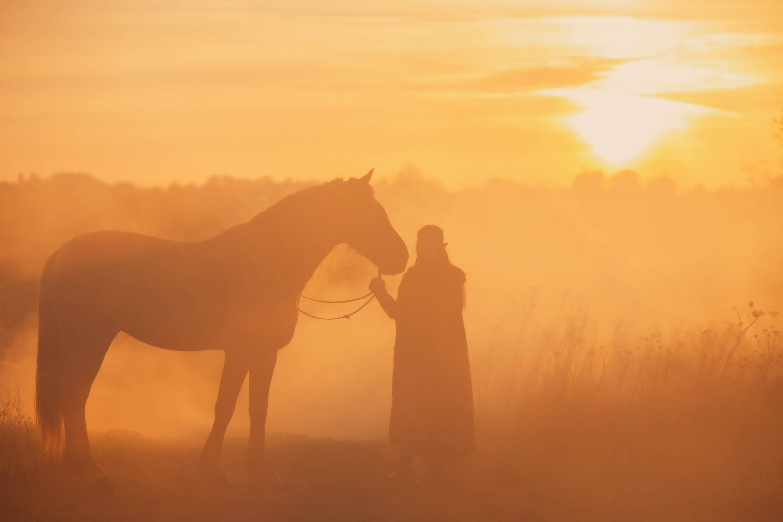 Люди. Фотограф-анималист Юлия Удовенко