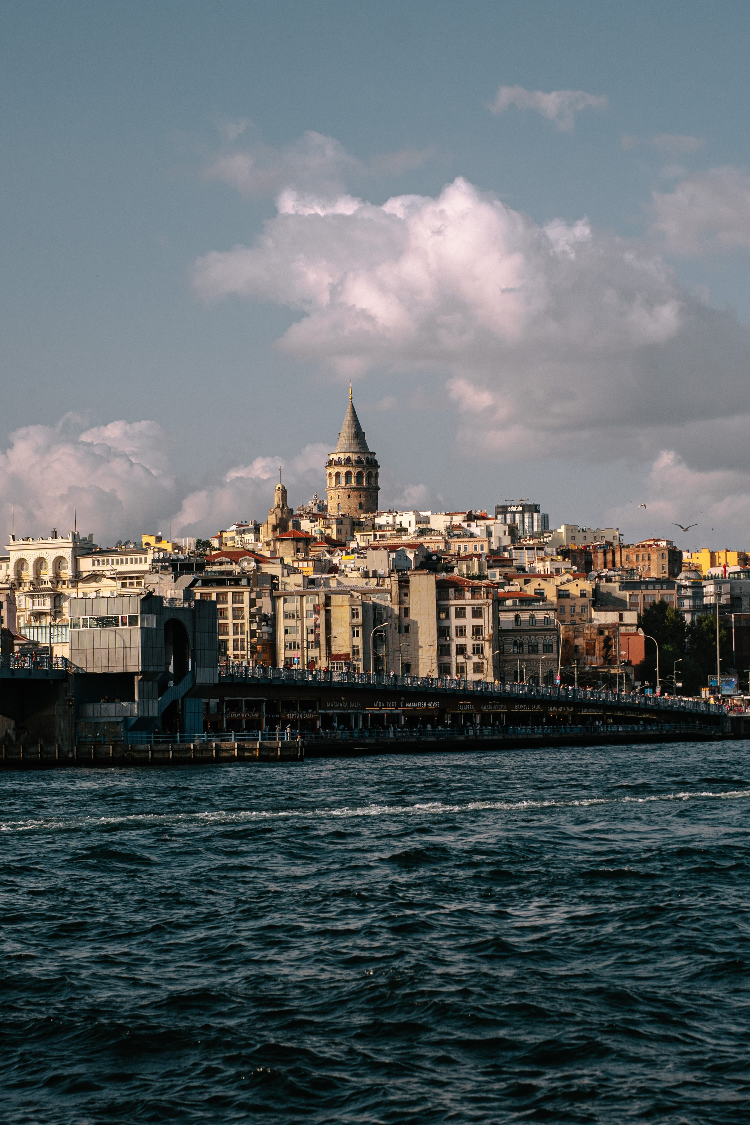 World. Фотограф в Санкт-Петербурге