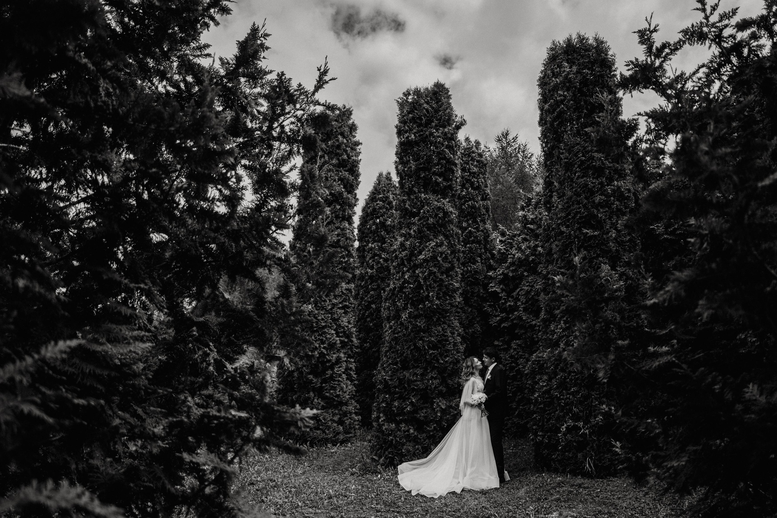 БАНКЕТНЫЙ ЗАЛ, РЕСТОРАН ПРАВДА ХОЛЛ, СВАДЕБНЫЙ ФОТОГРАФ УФА, НИКАХ