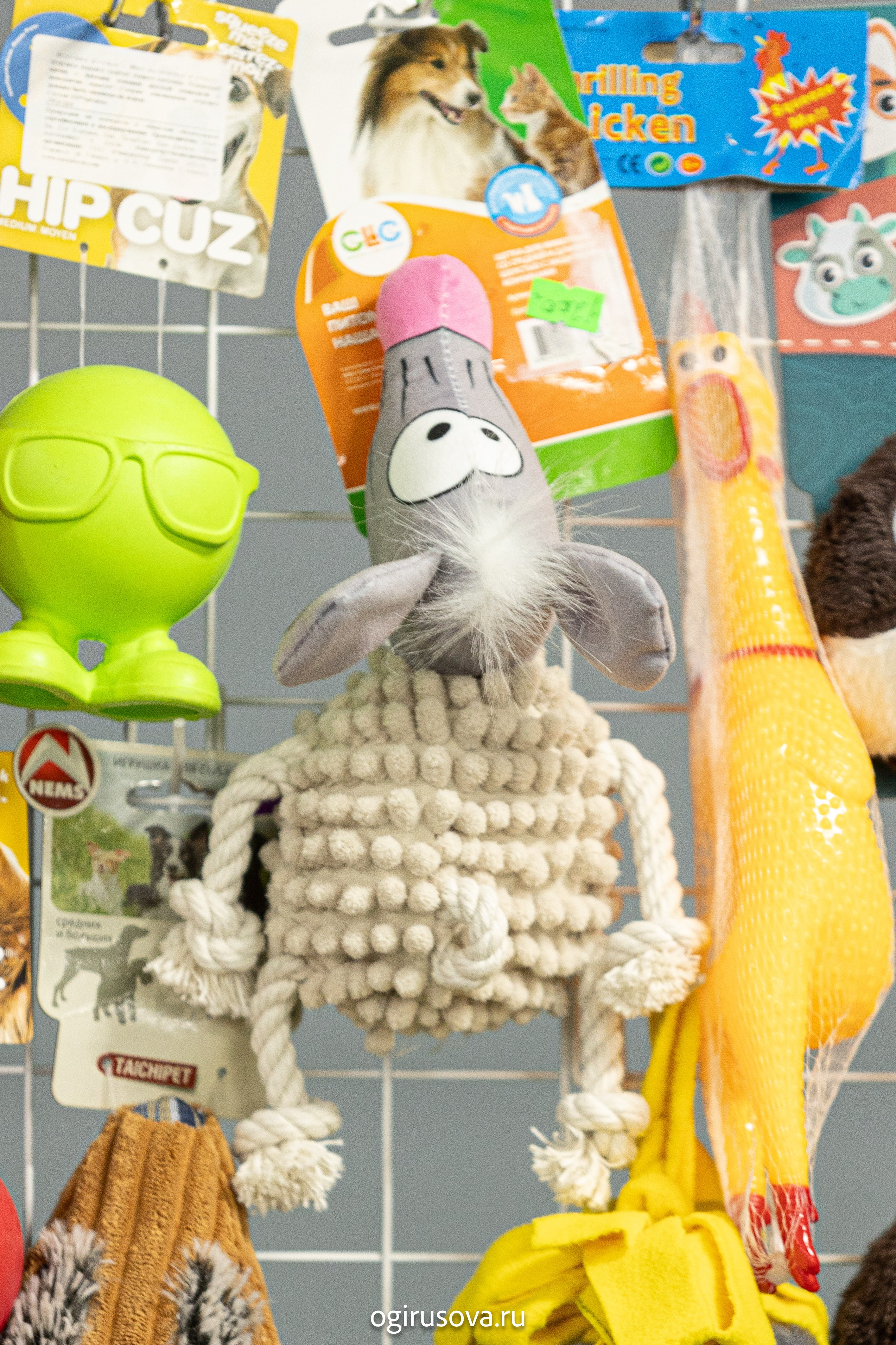 РОО КЛЖ «Олимп"+"Империя"+"Виктория».Выставка собак. Фотограф Ольга Гирусова «Пантерочка» Москва