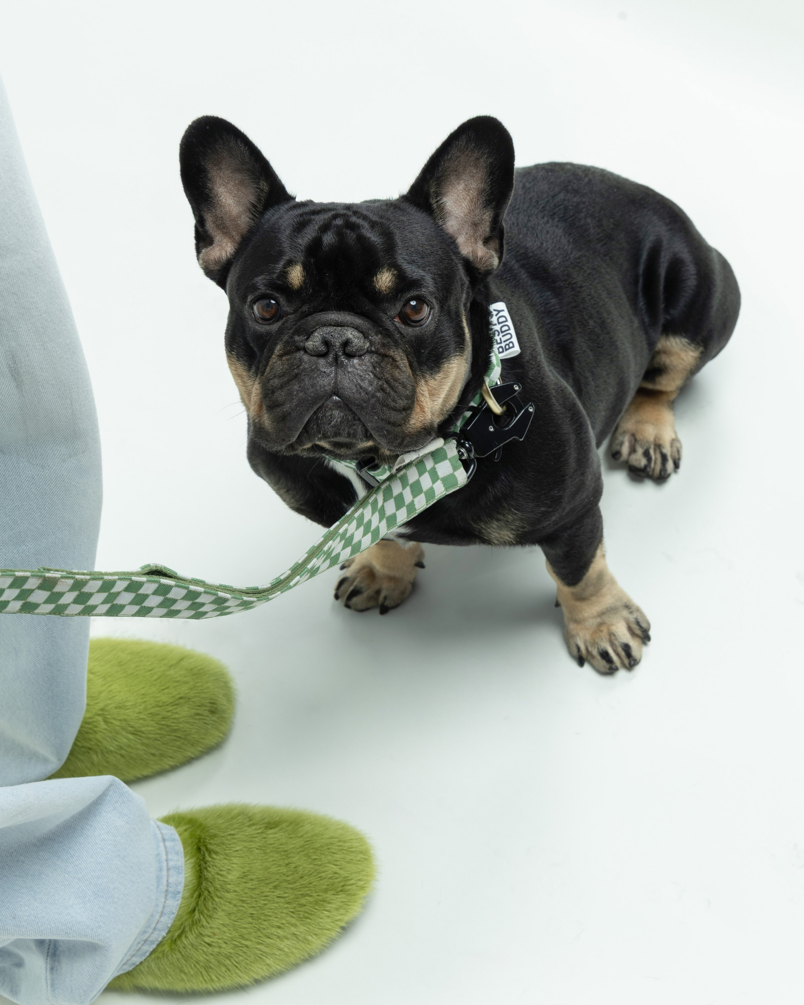BEST BUDDY. Профессиональный фотограф в Сочи Виктор Павлюткин