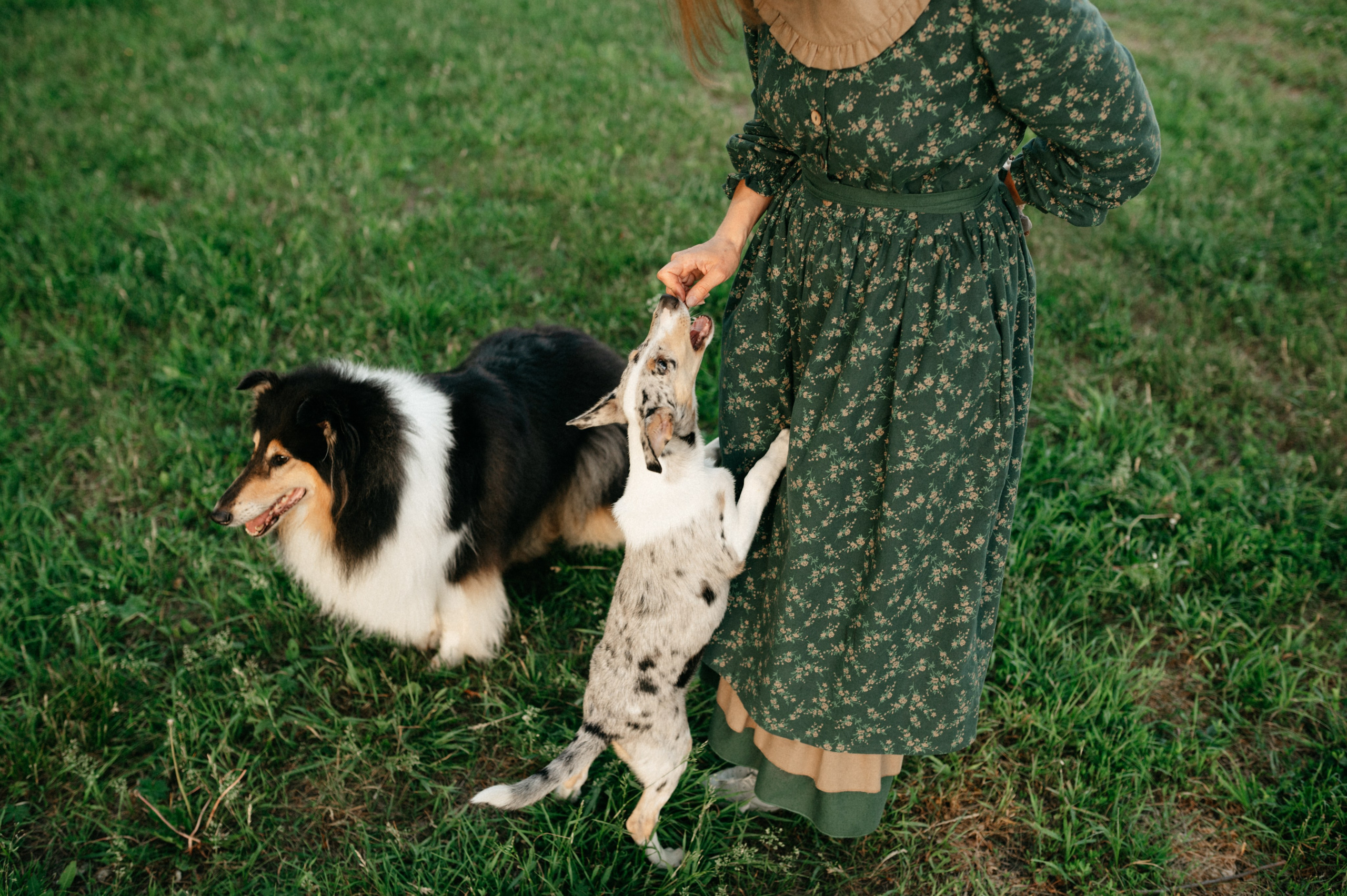 Таня и её пушистые друзья. Фотограф анималист в Москве Ольга Агушева
