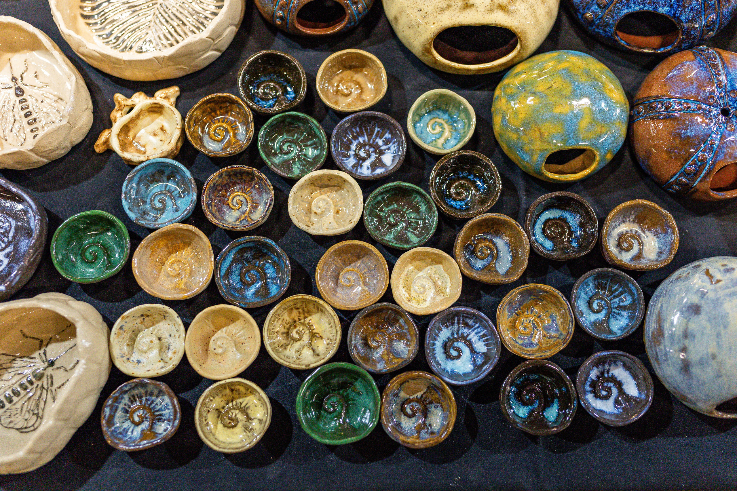 Рептилиум июнь 2025. Александра Куликова фотограф, Москва