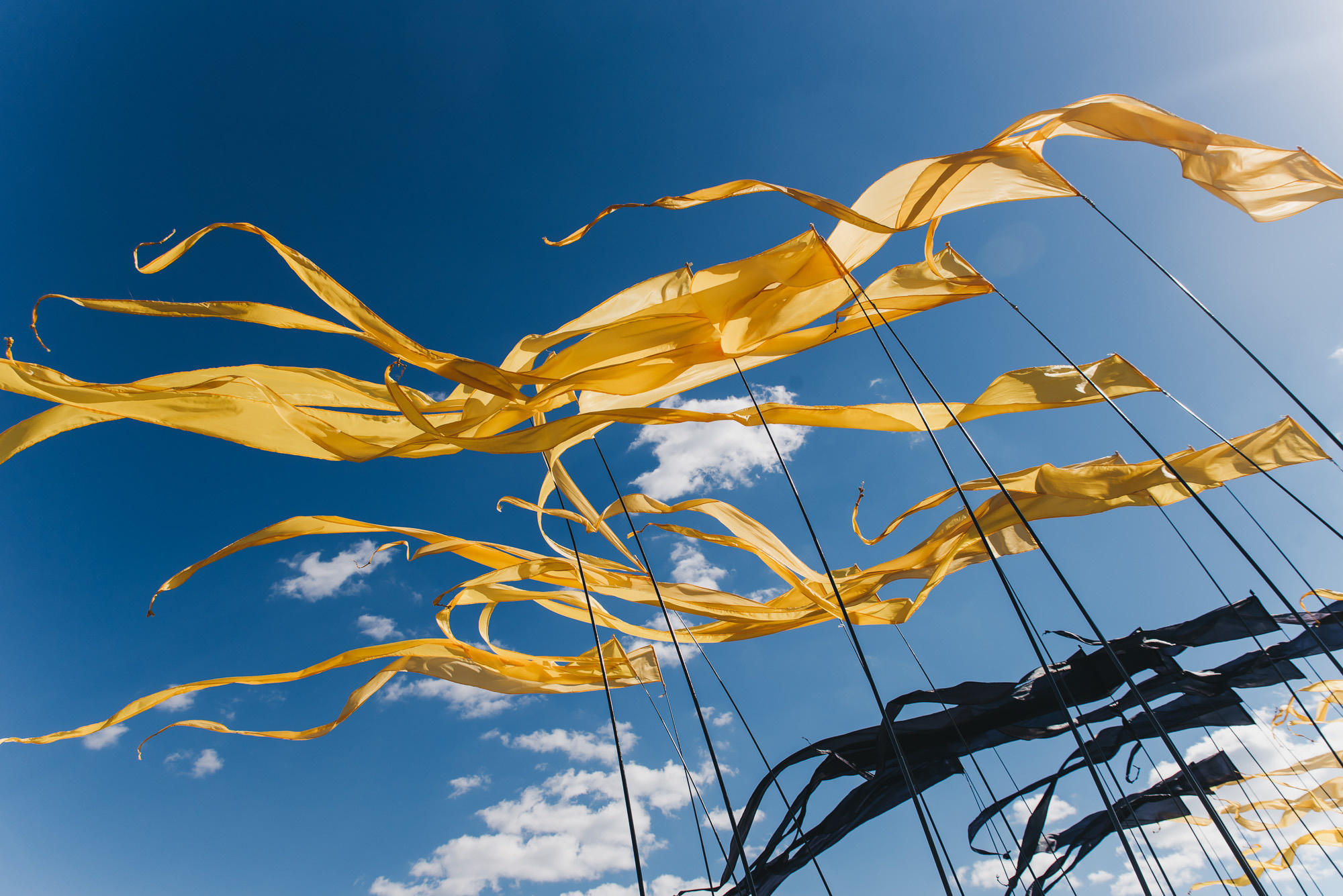 Alfa Future People. Свадебный фотограф в Москве и Подмосковье Виктор Одинцов