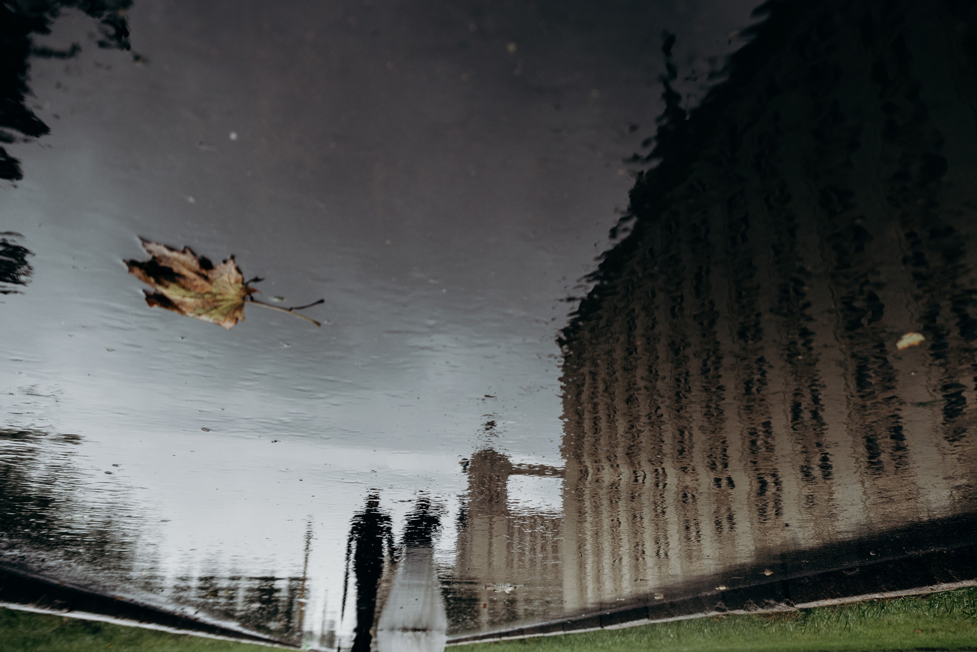 Антон и Даша. Свадебный фотограф в Москве и Подмосковье Виктор Одинцов