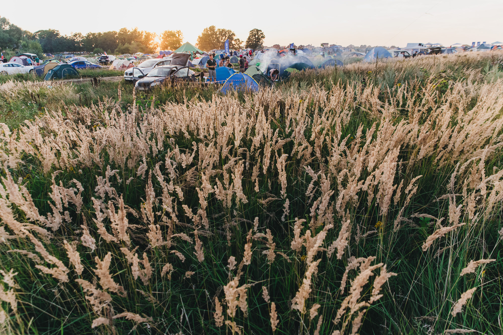 Alfa Future People. Свадебный фотограф в Москве и Подмосковье Виктор Одинцов