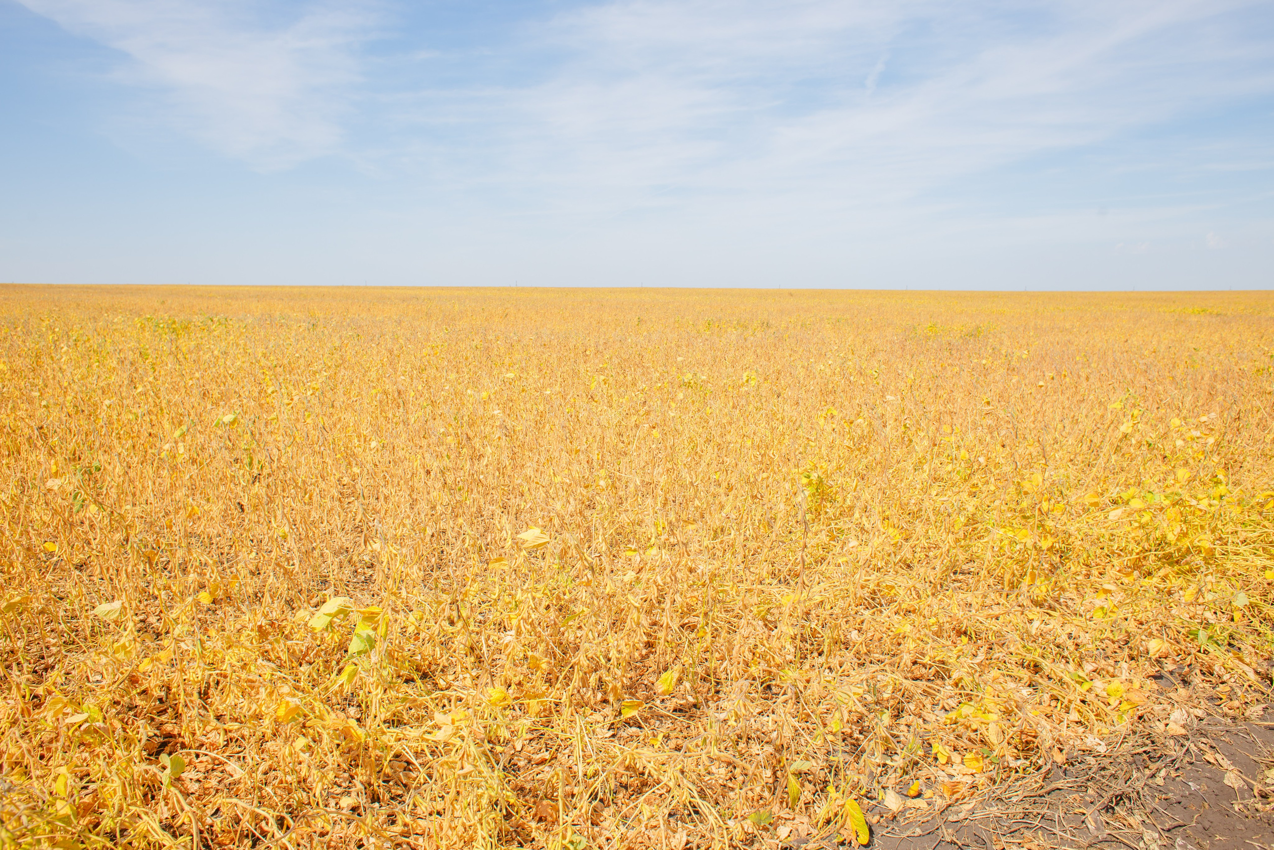 Агротерра. Фотограф Яков Поспехов