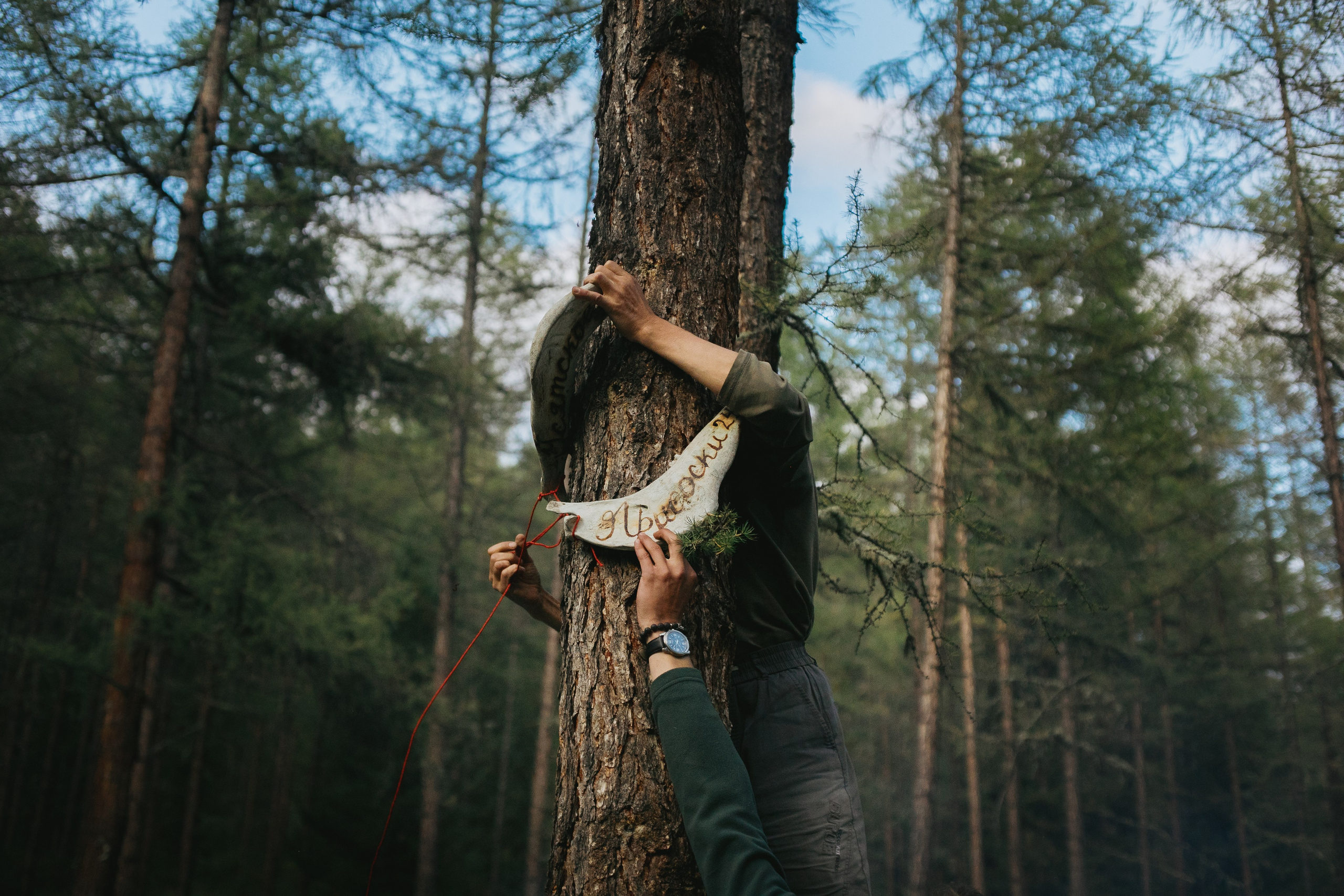 Шавлинские. Главная