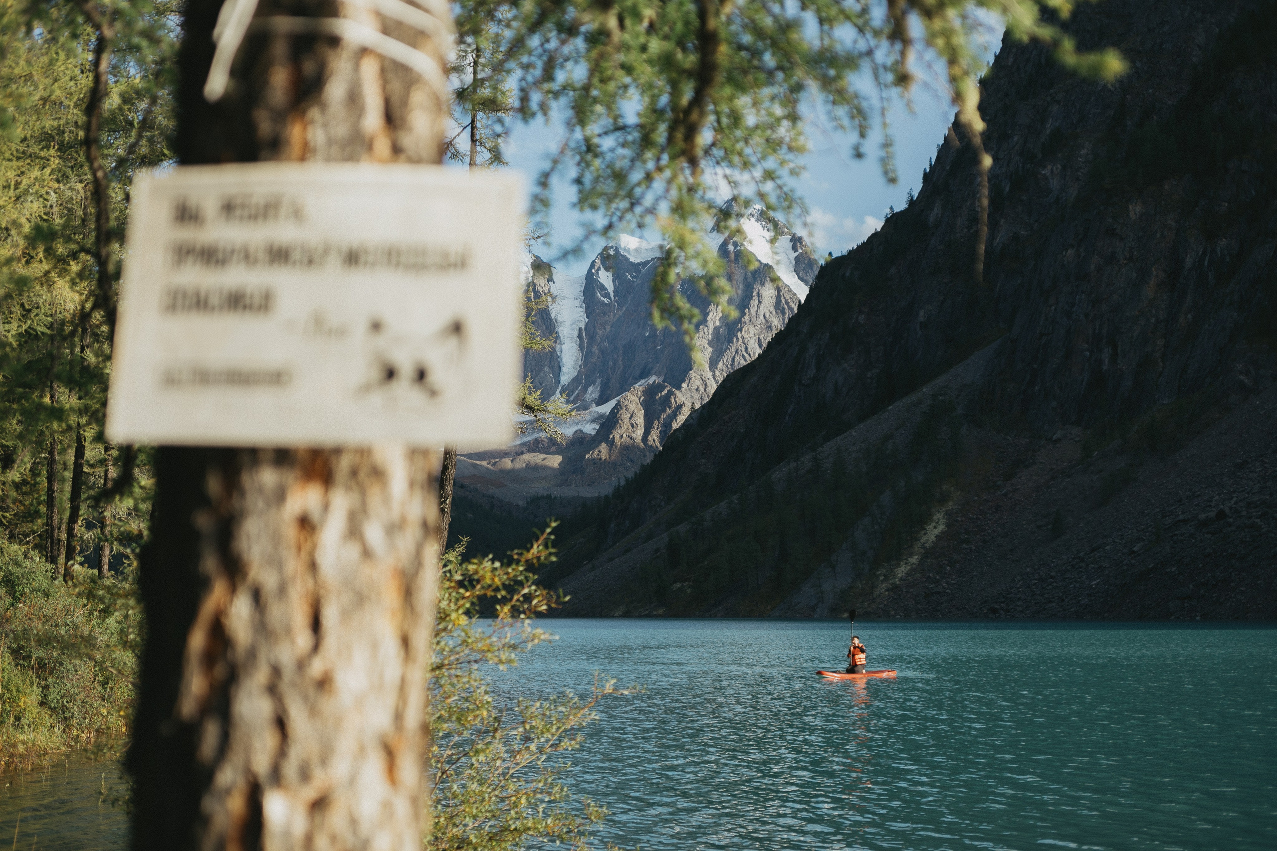 Шавлинские. Главная