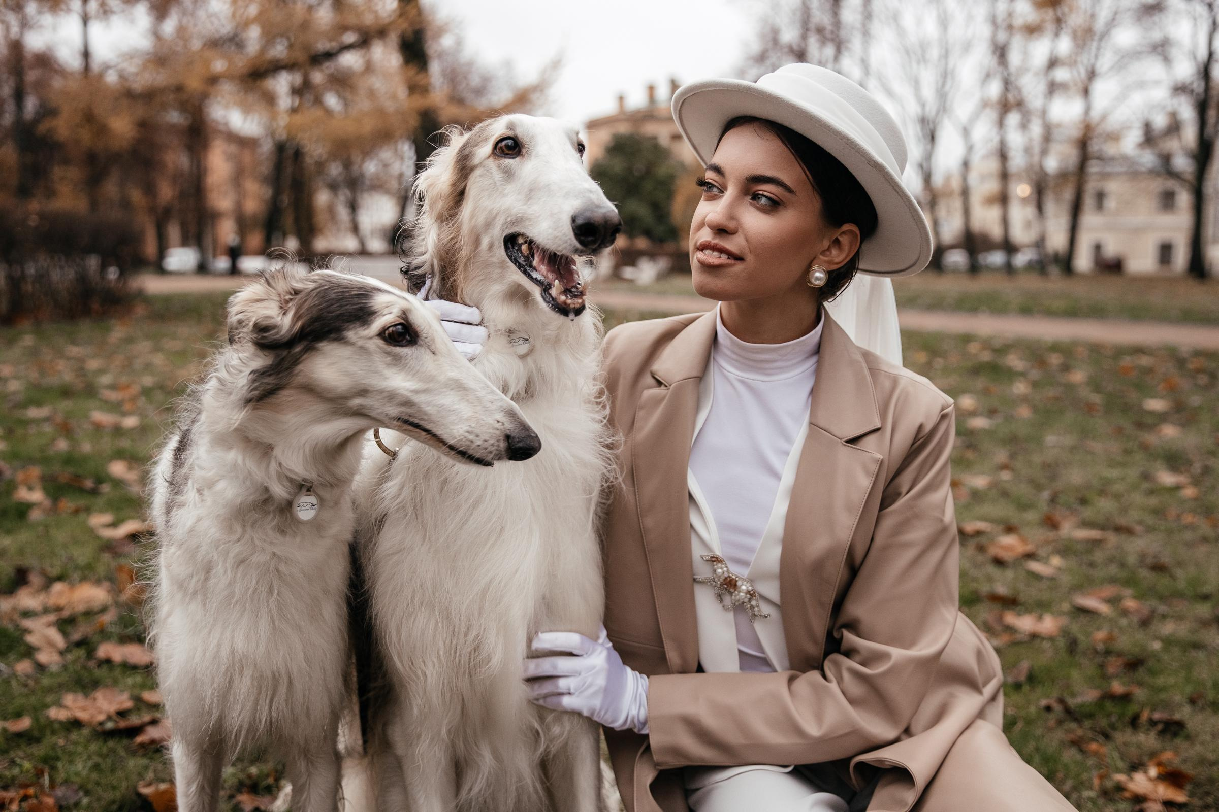 Ульяна, Степан и борзые. Lifestyle фотограф в Санкт-Петербурге Анна Щекалева