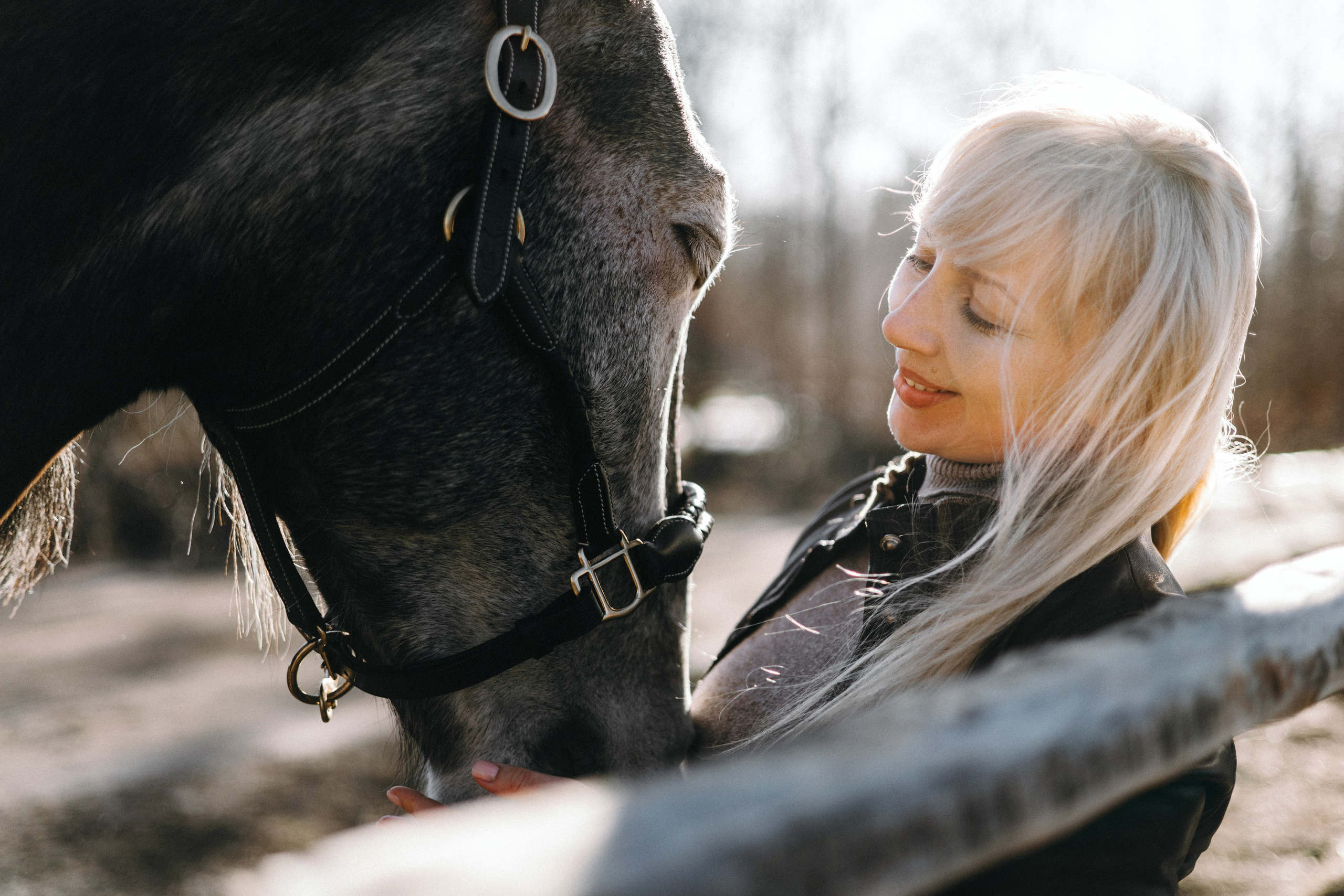 Ирина и Командор. Фотограф анималист Осипчикова Мария