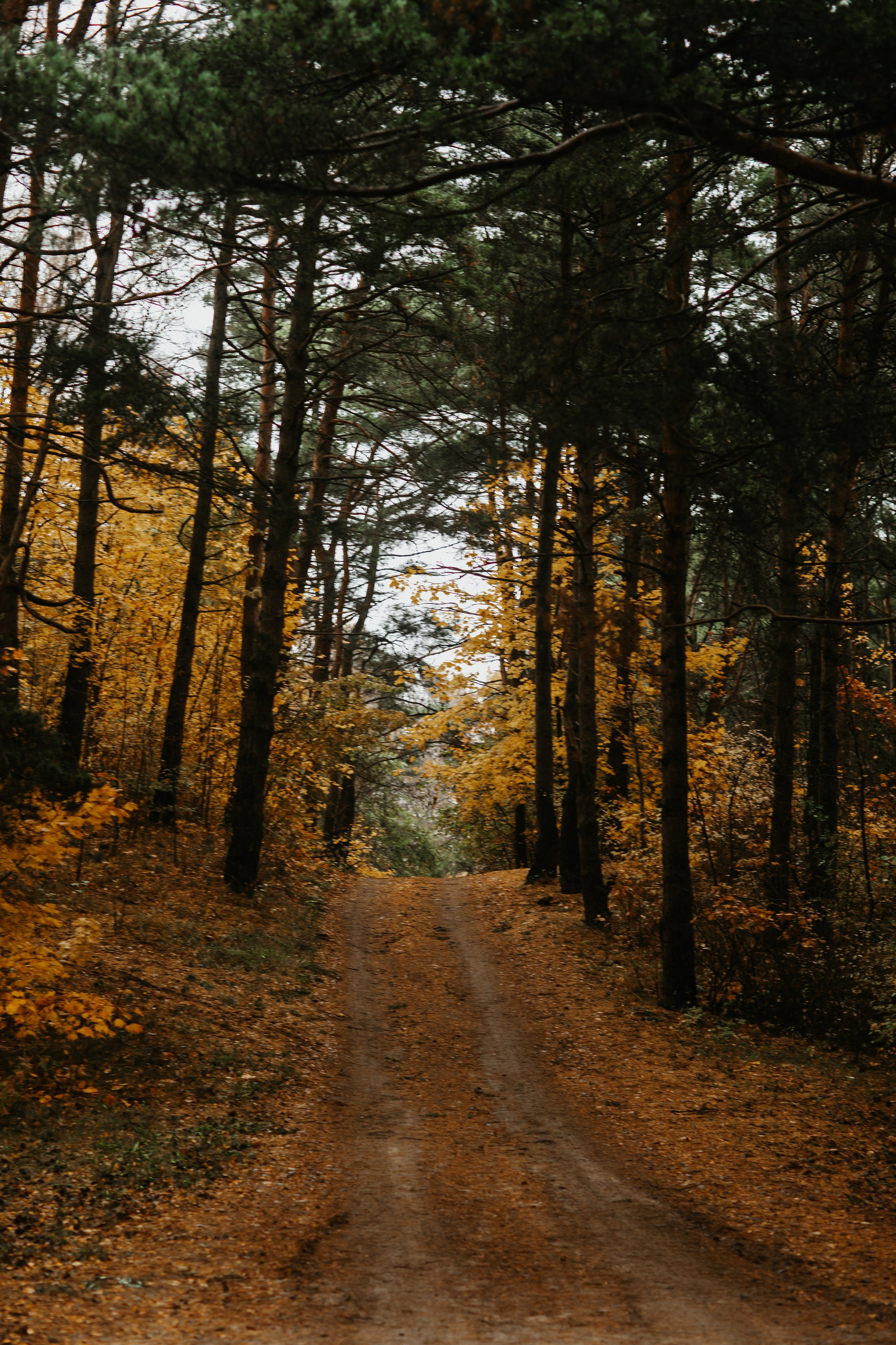 Фотосессия в Балтийске. Https://malovafoto.ru