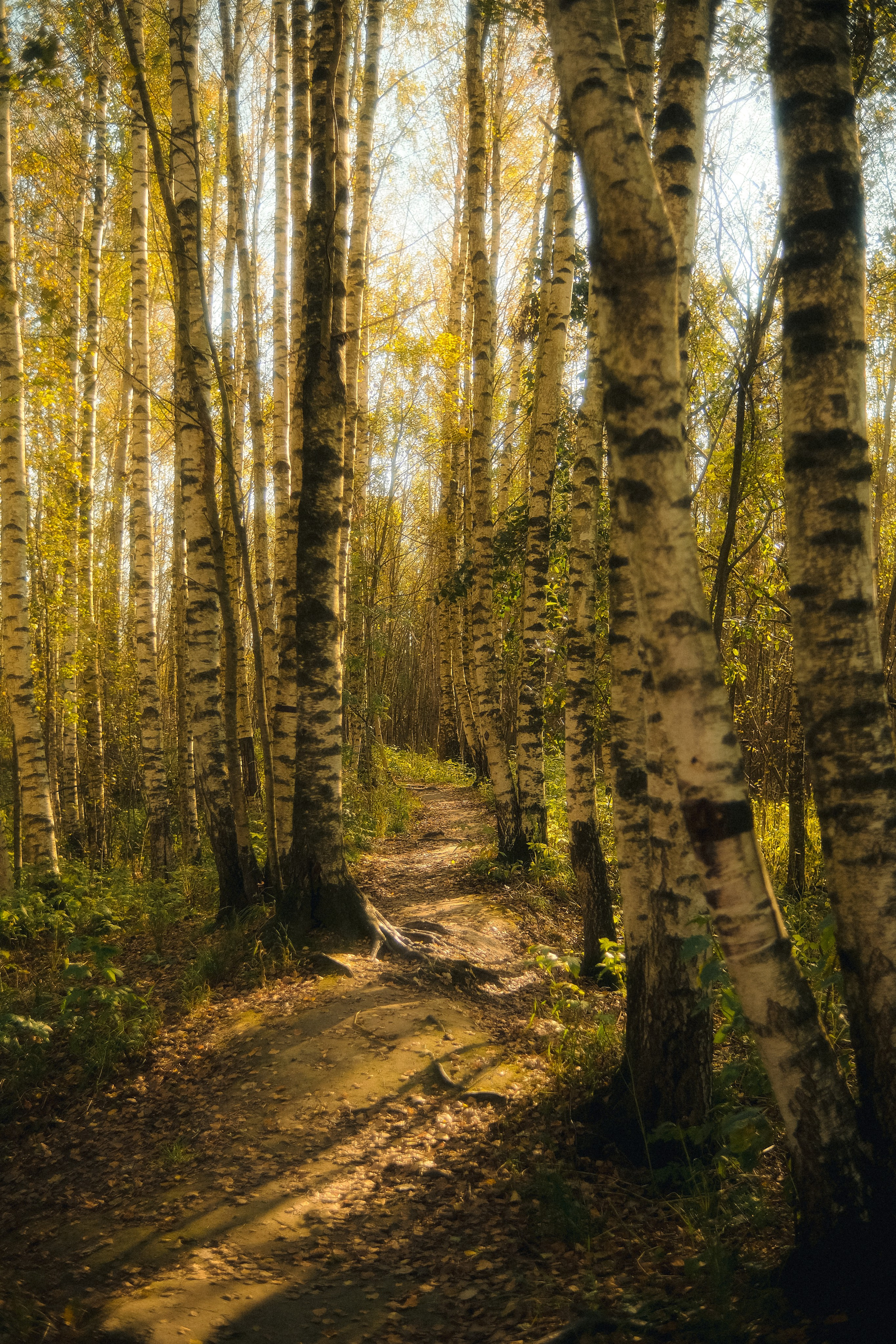 Маша & Влад. Phdkvmr.ru