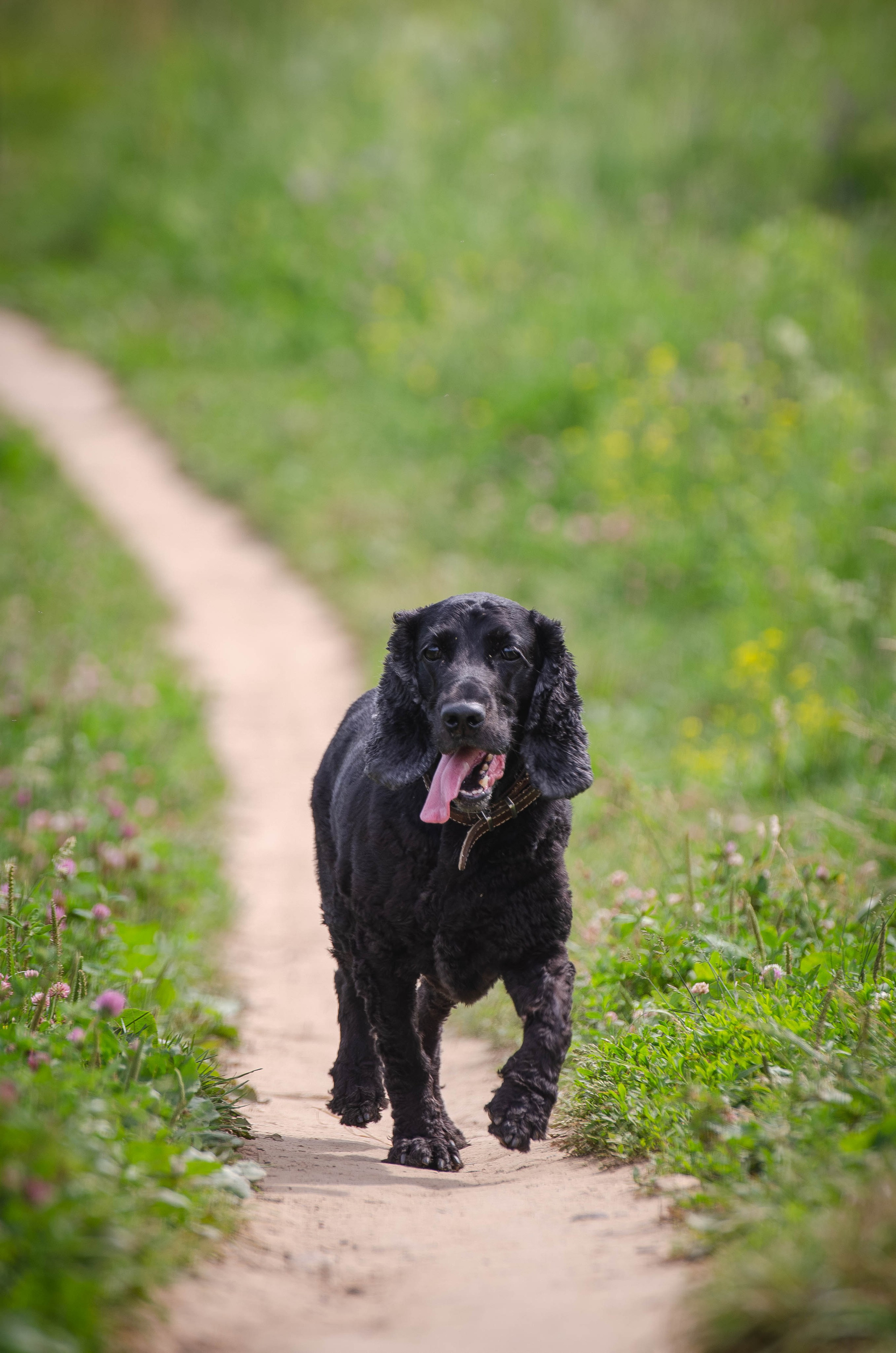 Прогулка (Лохин остров). Фотограф Светлана Блинова, Москва и Московская область