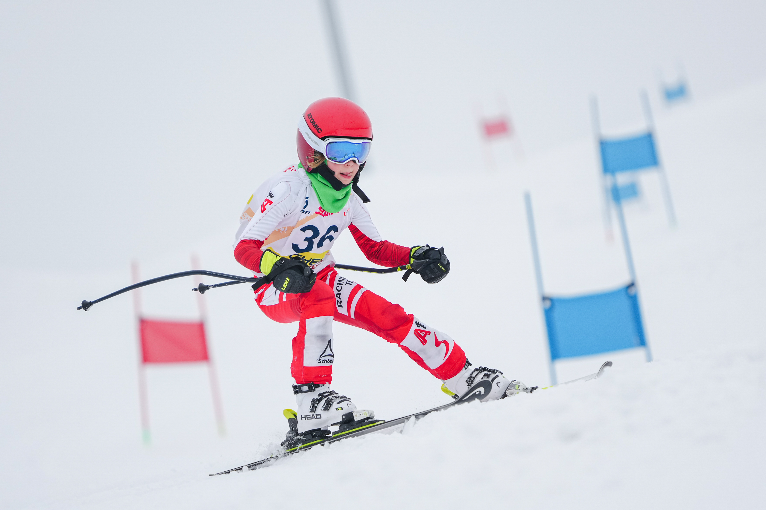 GS (Giant Slalom) - Слалом-гигант. Соревнования по горнолыжному спорту. Московская область, Шуколово