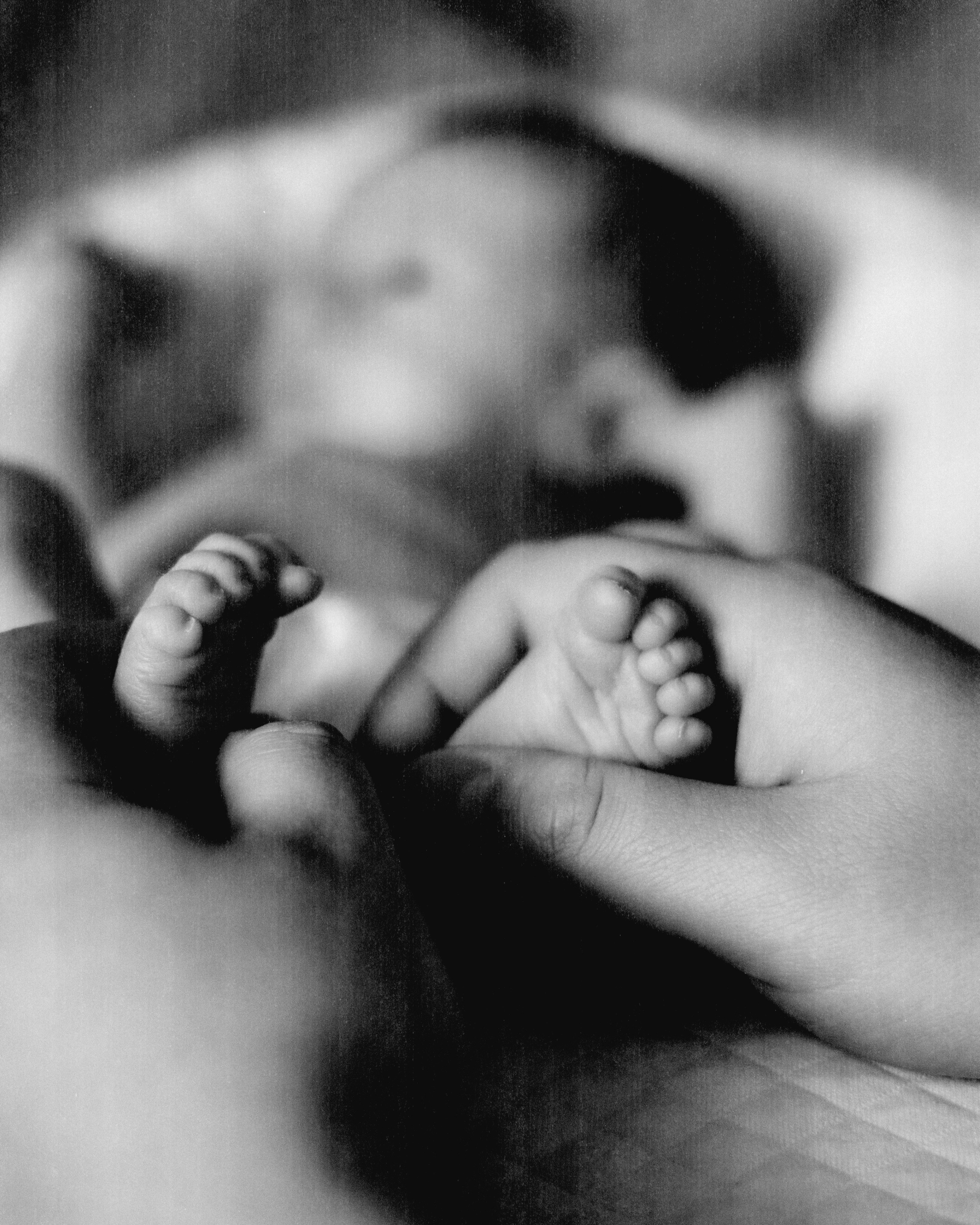 Gosha. SHILOVA PHOTO. Шилова Екатерина. Фотограф. Москва