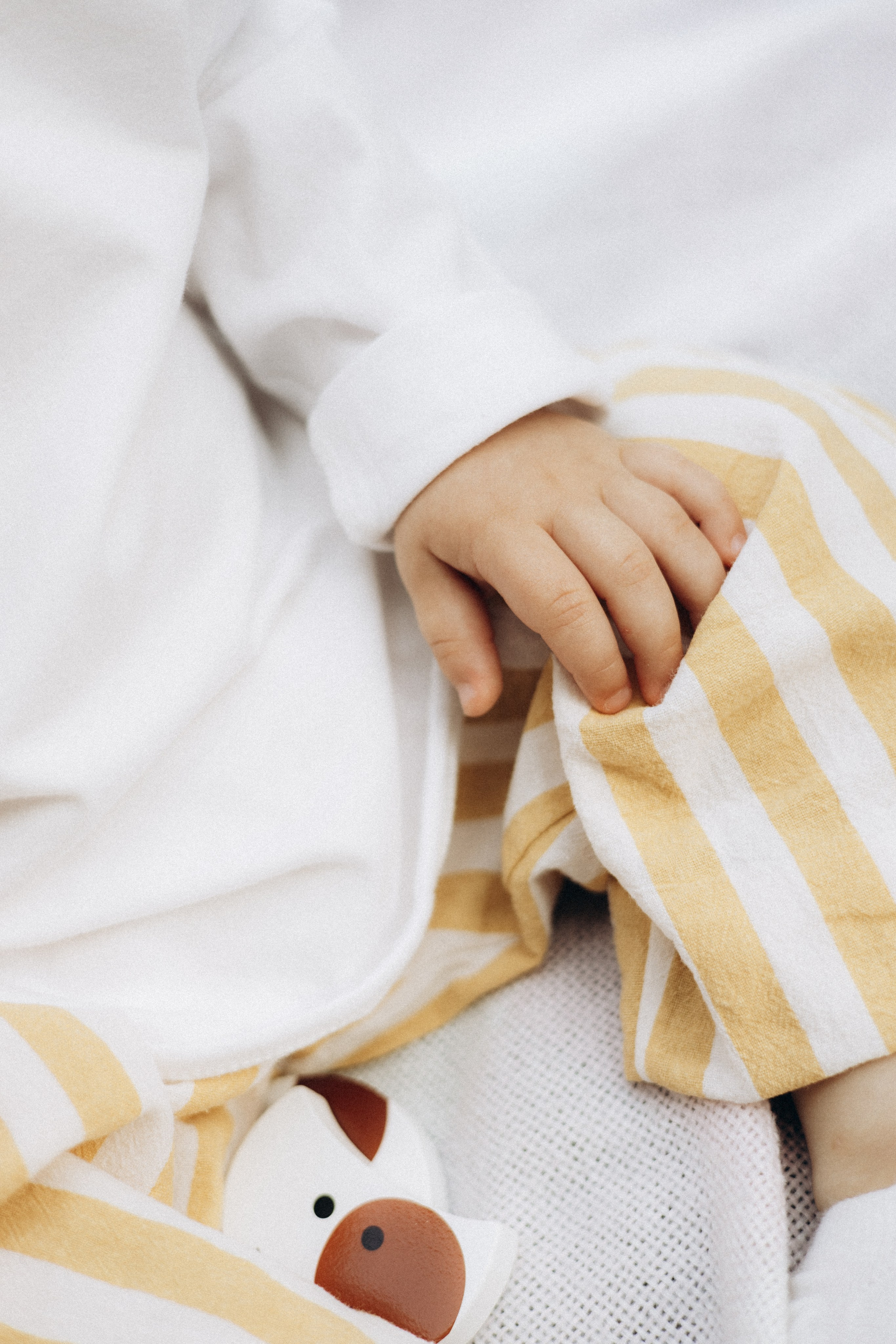 Лена, Егор и Миша. Фотограф в Нижнем Новгороде Воробьева Анжела