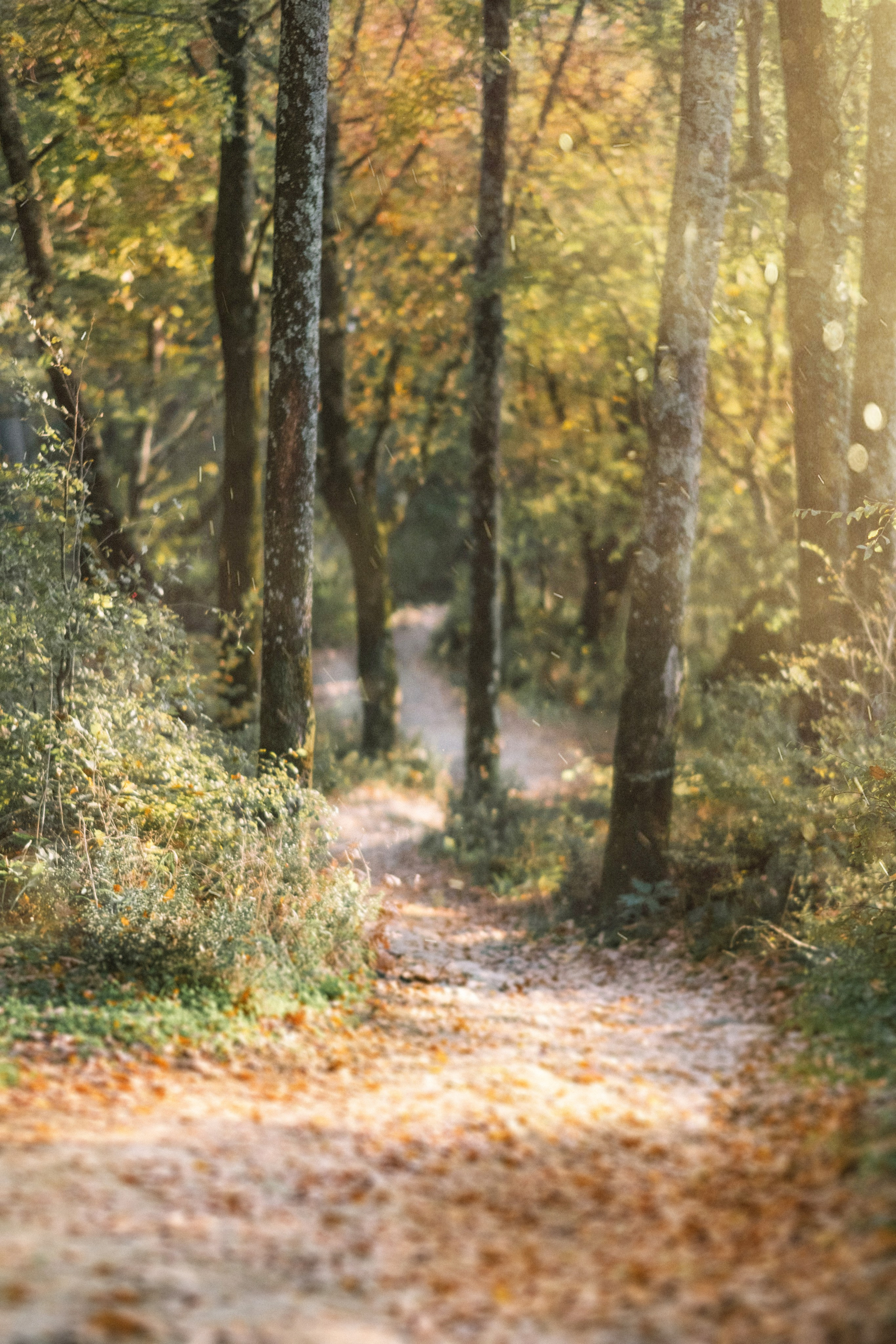 Туапсе. Свадебный Видеограф Фотограф в Сочи