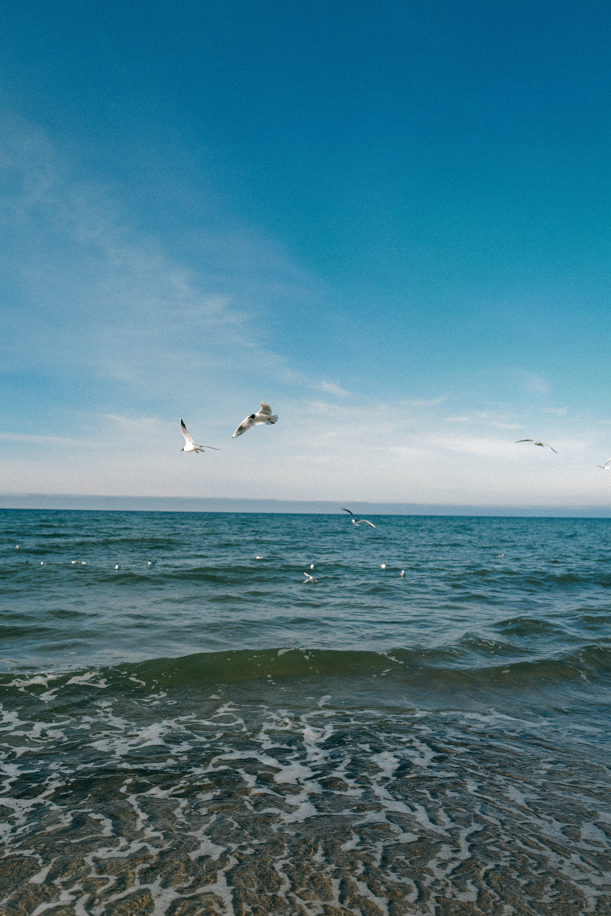 Zelenogradsk. Фотограф София Комкина