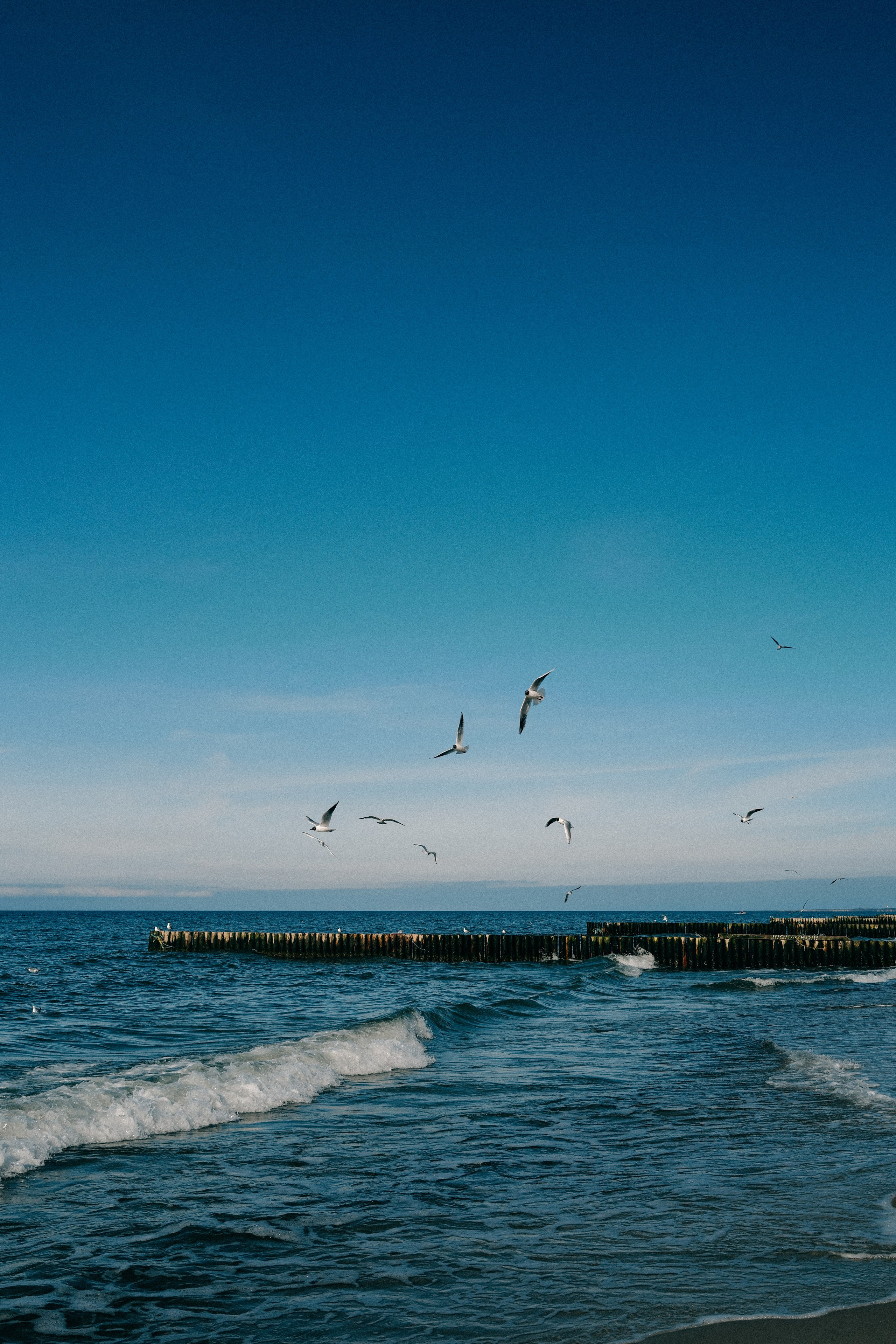Zelenogradsk. Фотограф София Комкина