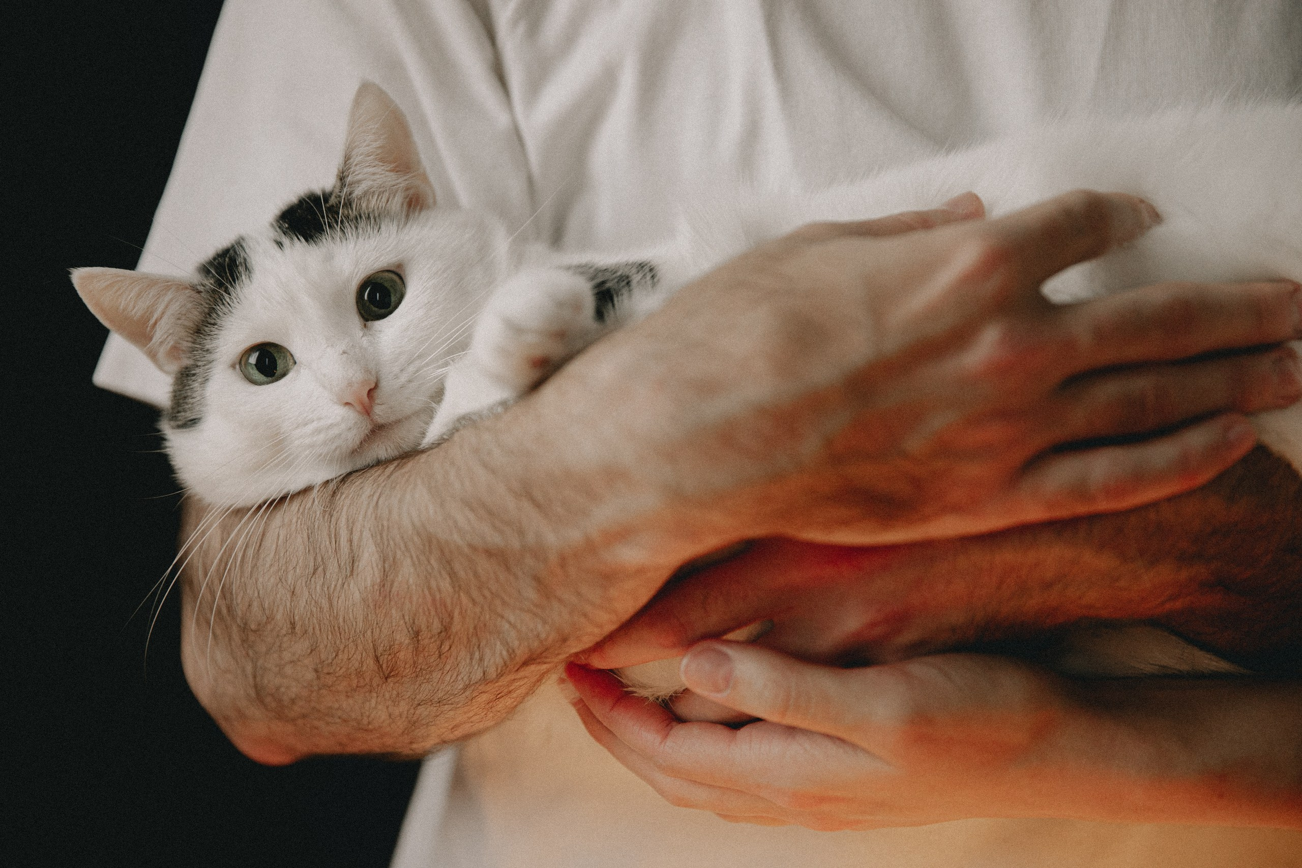 Лампа и дождь. Про любовь