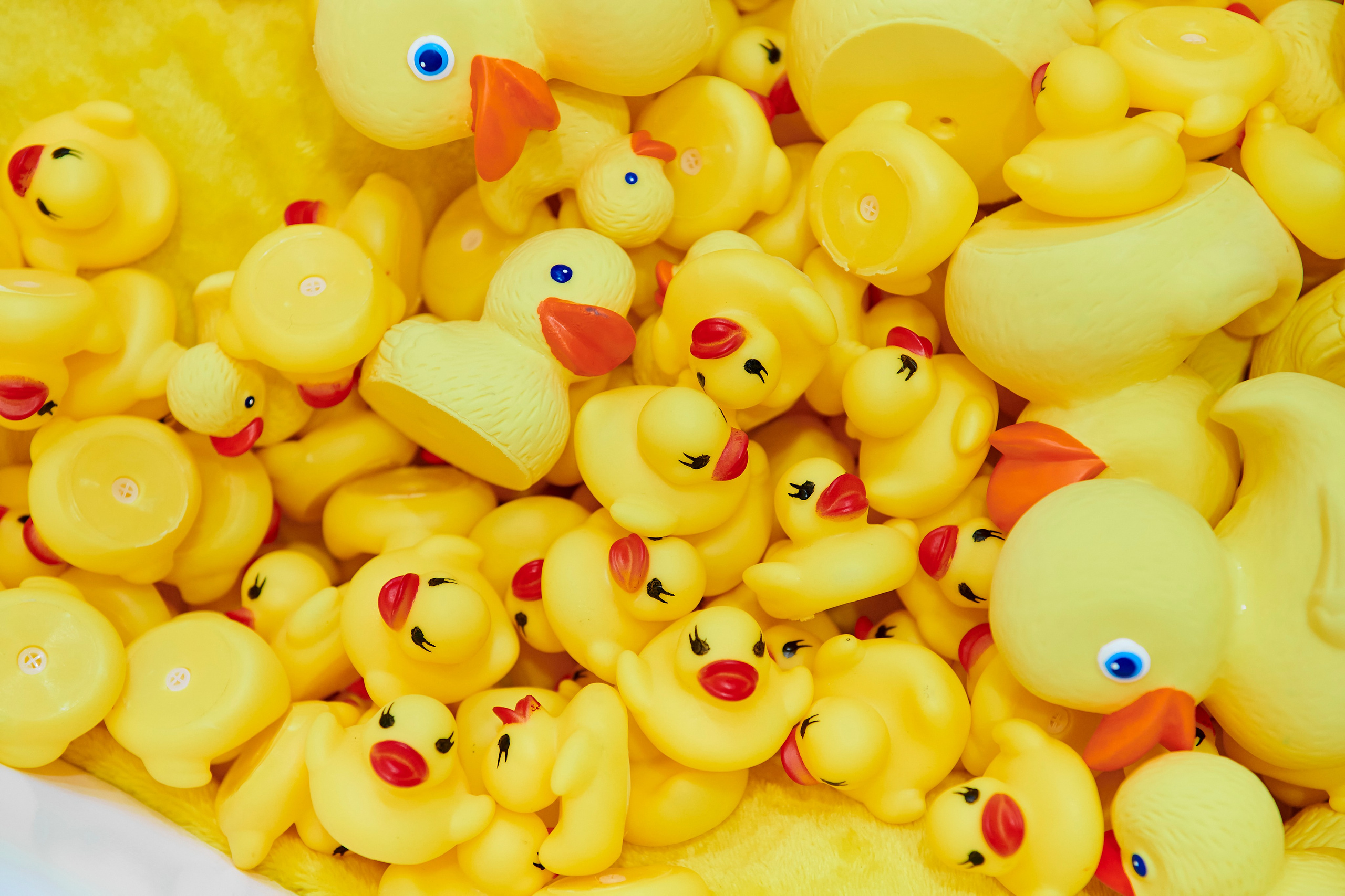 IT Форум будущего. Фотограф Постольник Дарья