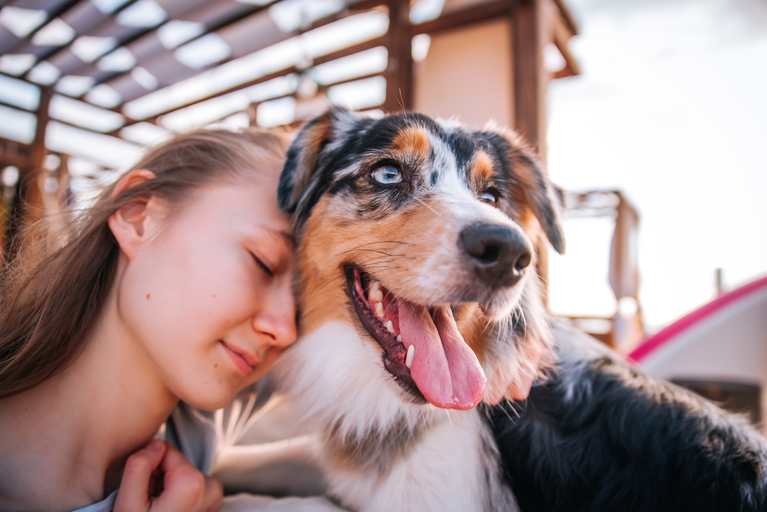 No Bad Days. Главная